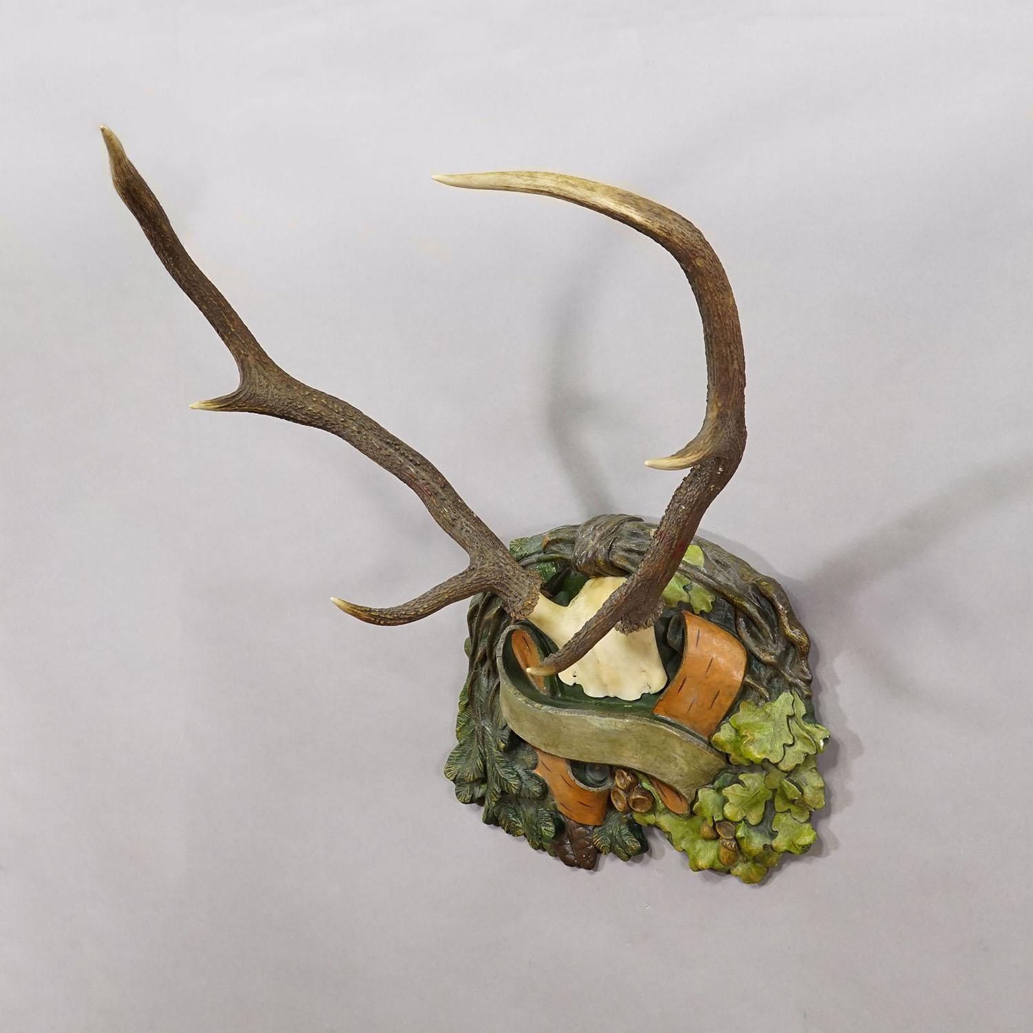 Antique Black Forest Deer Trophy On Plaster Plaque, Ca. 1920s photo 616.0