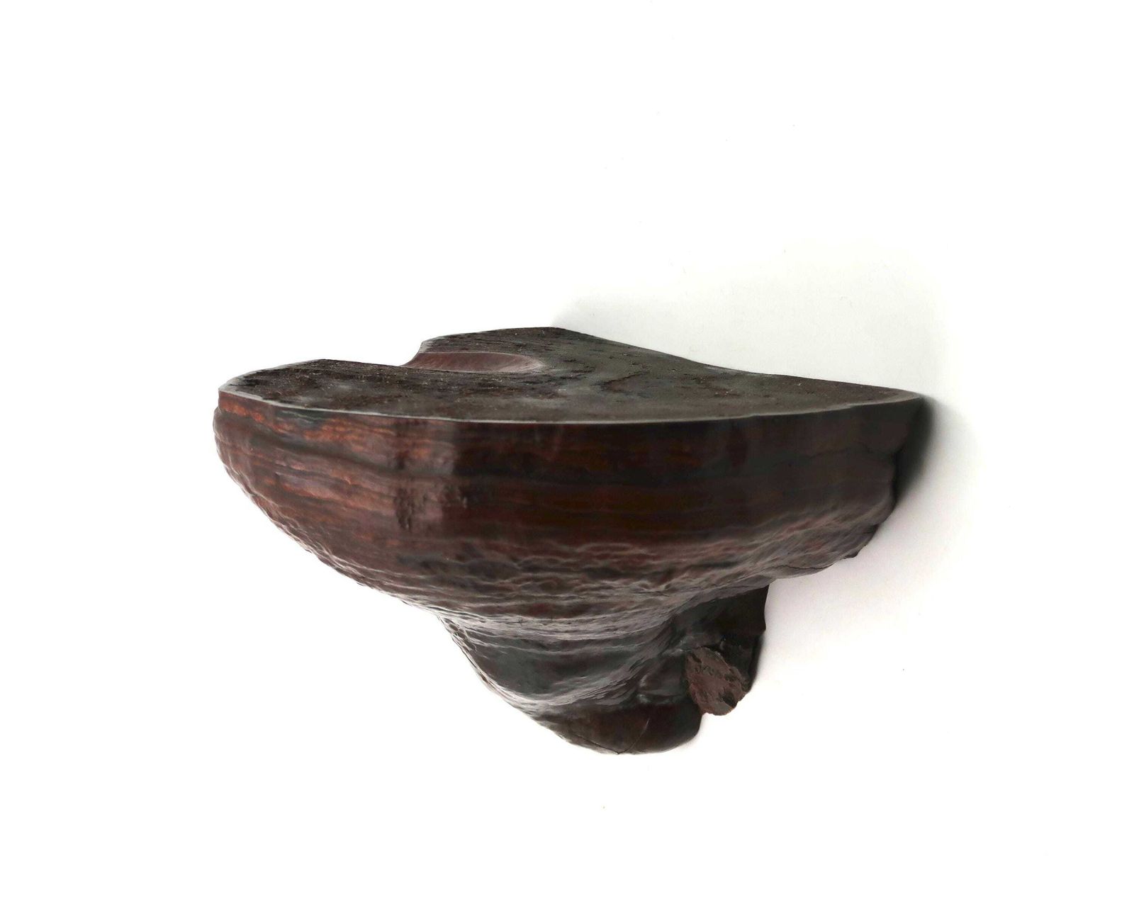 French Wall Small Wooden Shelf, Natural Mushroom, 1970s Furniture, France, Rustic, Country, Display, Mountain, Forest, Wabi Sabi, Home Decor