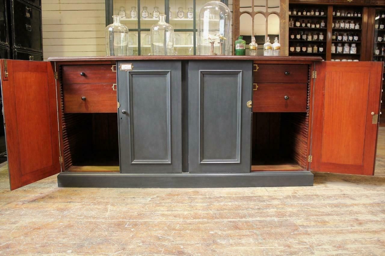 Shop Counter/Museum Cabinet/Kitchen Island From Cambridge Museum Of Zoology photo vinterior