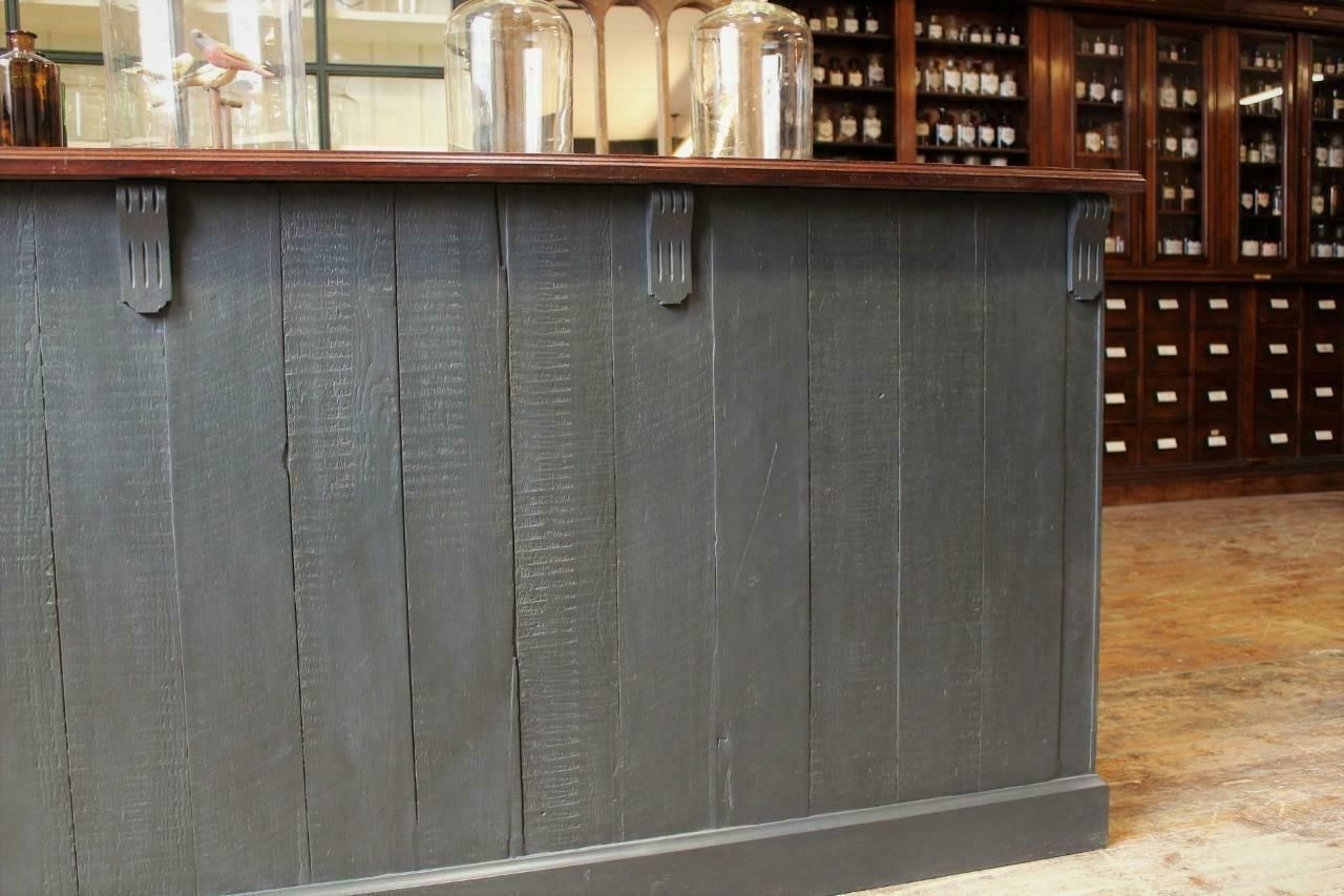 6950.0 Shop Counter/Museum Cabinet/Kitchen Island From Cambridge Museum Of Zoology photo