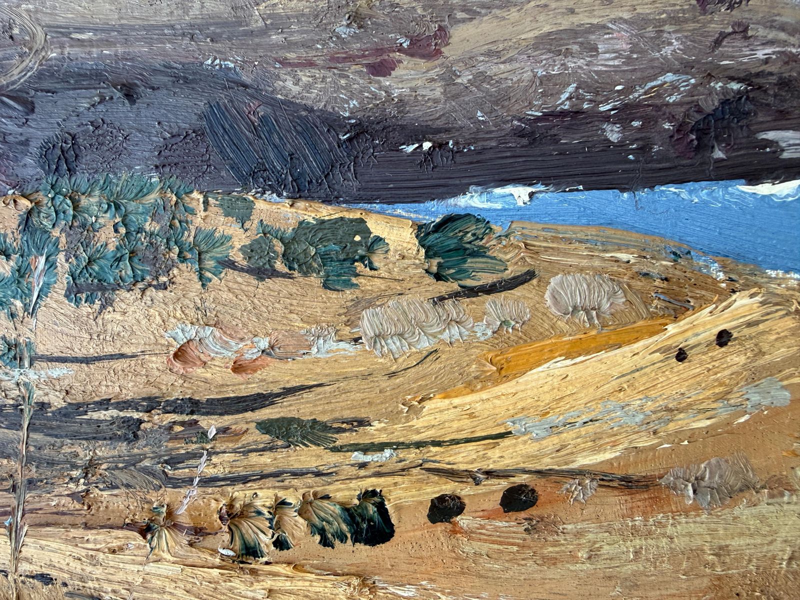 Jordi Pagans Montsalvatje Mediterranean Coastal Landscape Near Cadaqués Port Lligat Costa Brava Oil Spain 1975 photo Art
