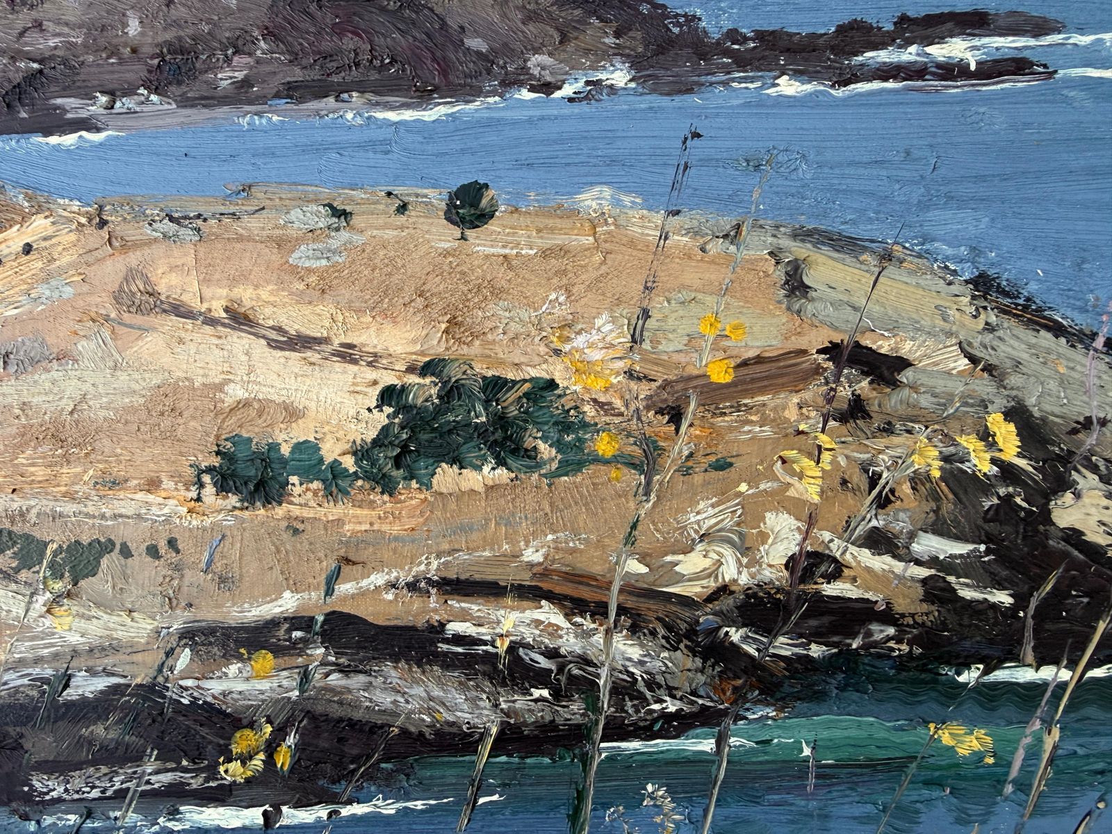 Jordi Pagans Montsalvatje Mediterraan Kustlandschap Bij Cadaqués Port Lligat Costa Brava Olieverf Spanje 1975 photo 1250.0