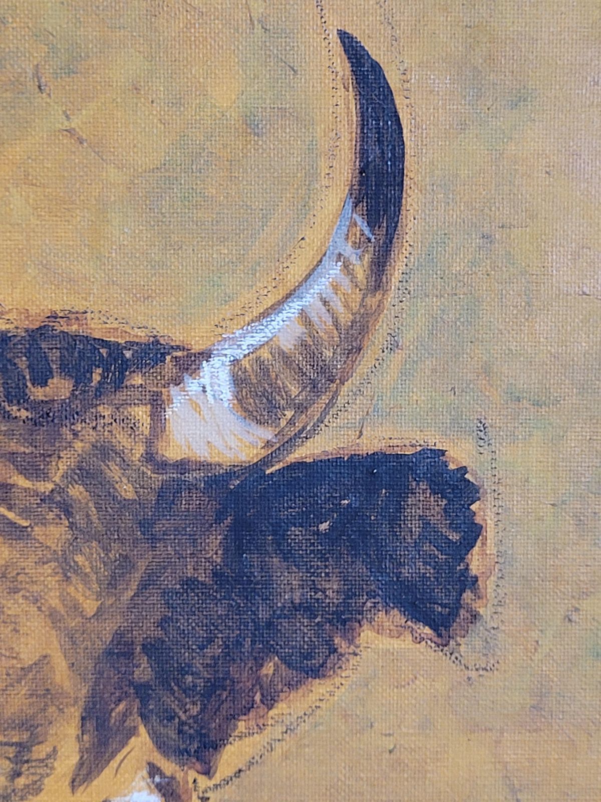 Bull Grazing, Late 20th Century Acrylic On Canvas, Signed, 100x50 Cm 1970s. photo buy