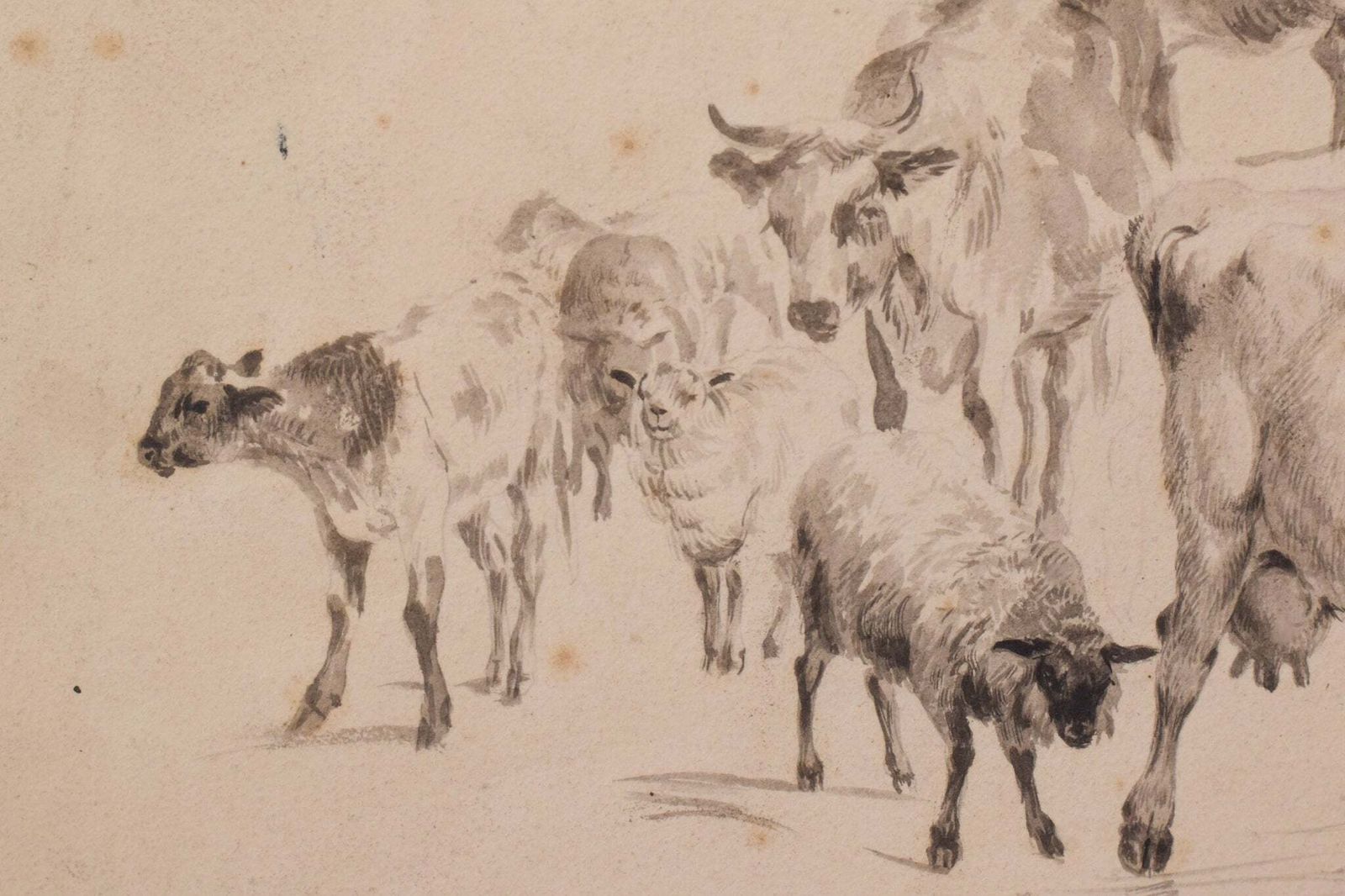 Studie Van Runderen En Schapen – Thomas Sidney Cooper Of Volgeling. photo vinterior