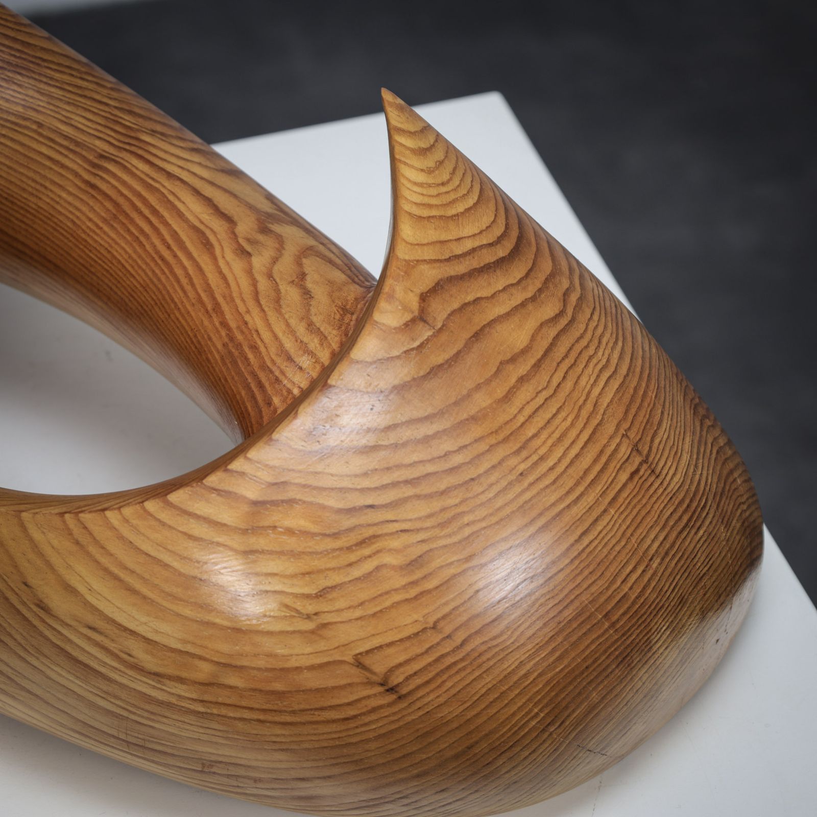 Flying Solo, Organic Sculptural Form By Ineke Van Zuuren, 1970s photo Art