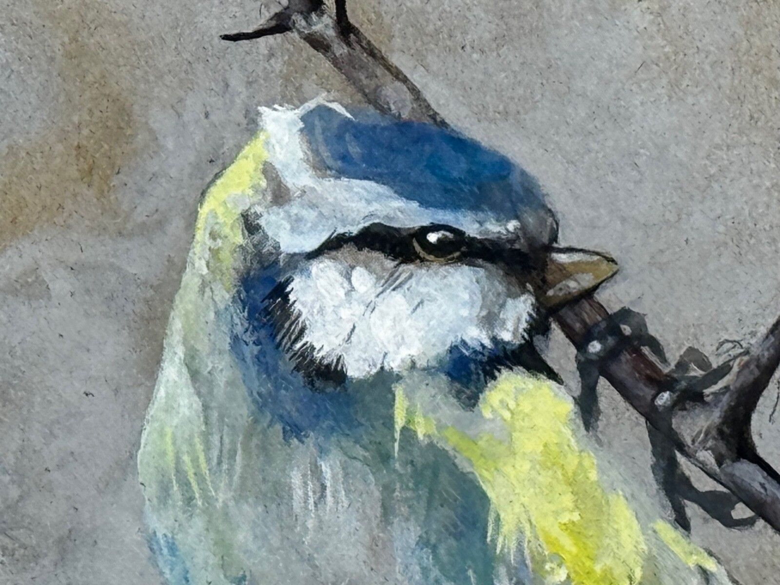 Victorian C1900 Antique Painting Apple Blossom Blue Tit Bird By Arthur Wardle photo Art