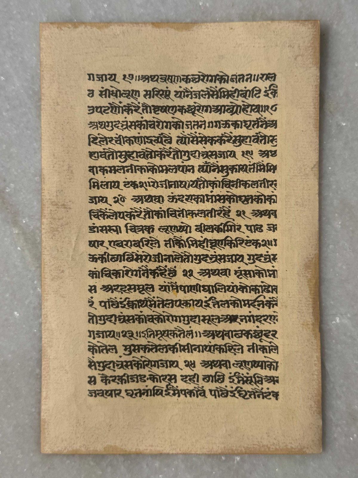 Hand Painted Miniature Sacred Cow & Calf On Antique Sanskrit Manuscript With Gold Border. photo for sale