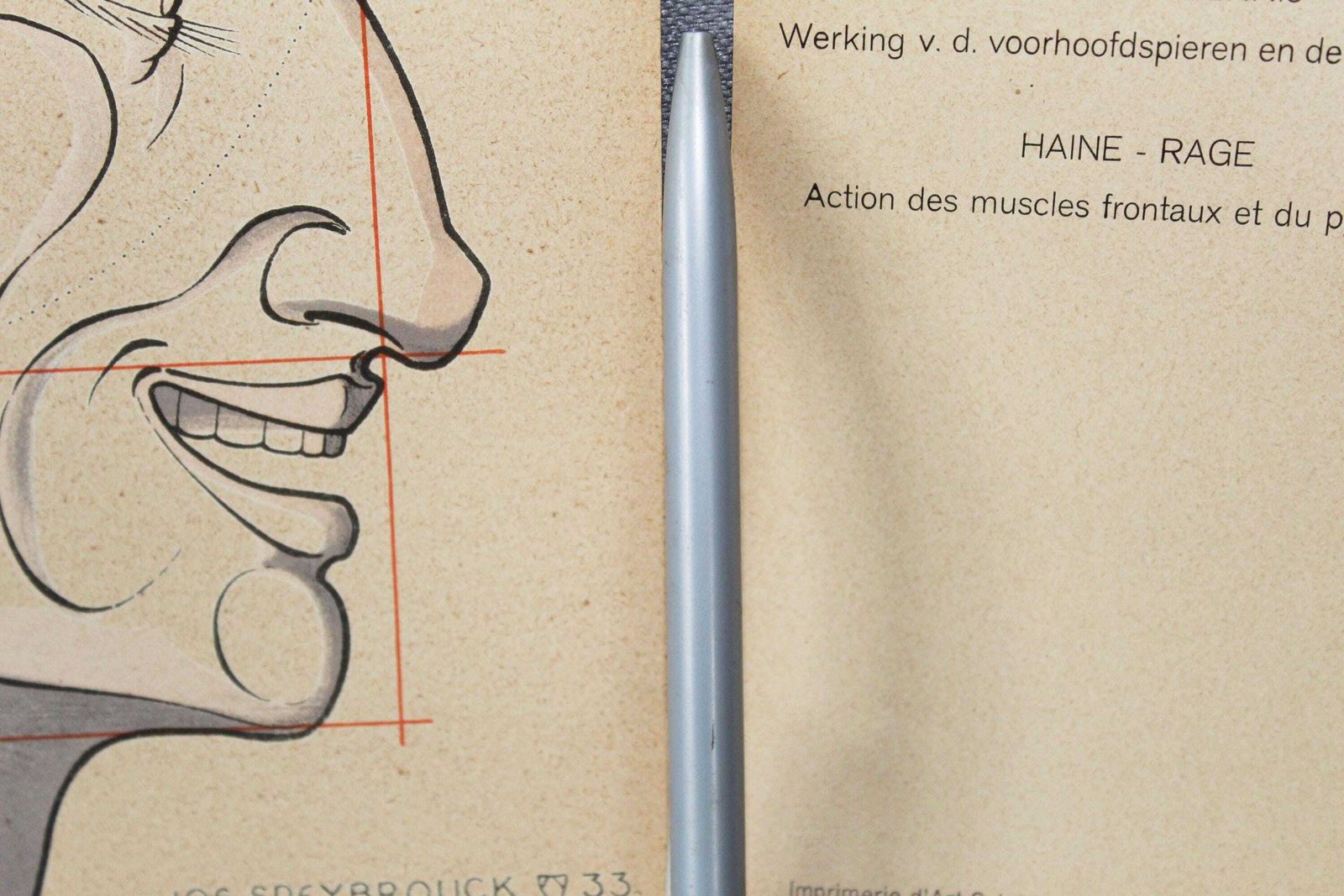 Kunst Set Van Twee Grote Art Deco Anatomieprenten – Spiergezicht En Gezichtsuitdrukkingen, Tekenleer, Speybrouck 1933 België Tournai, Wetenschap, Verzonden In Koker photo