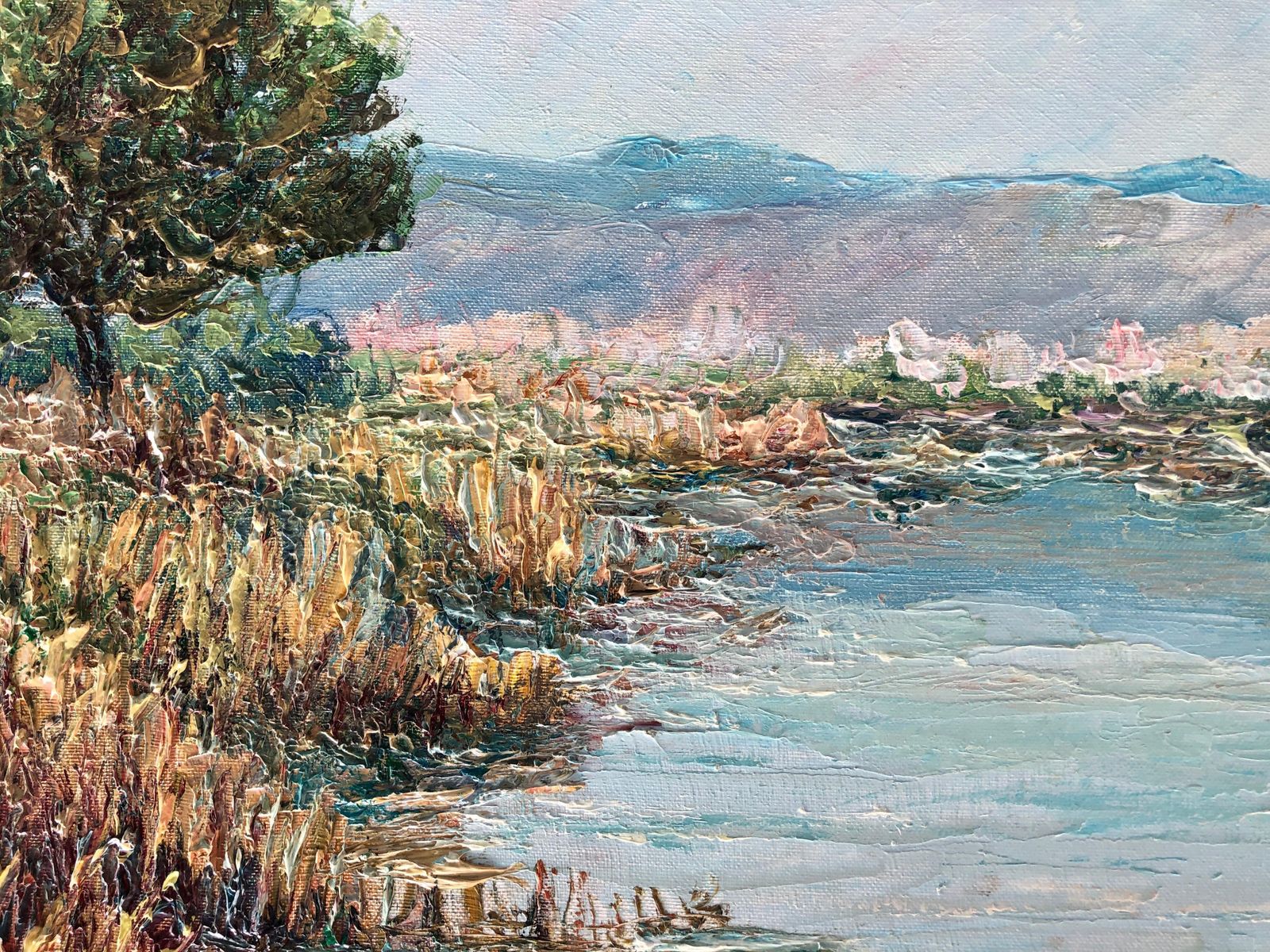 Angel Bertran Montserrat Mediterranean Marsh Landscape With Heavy Impasto Catalan Expressionist Oil Paint 1995s photo buy