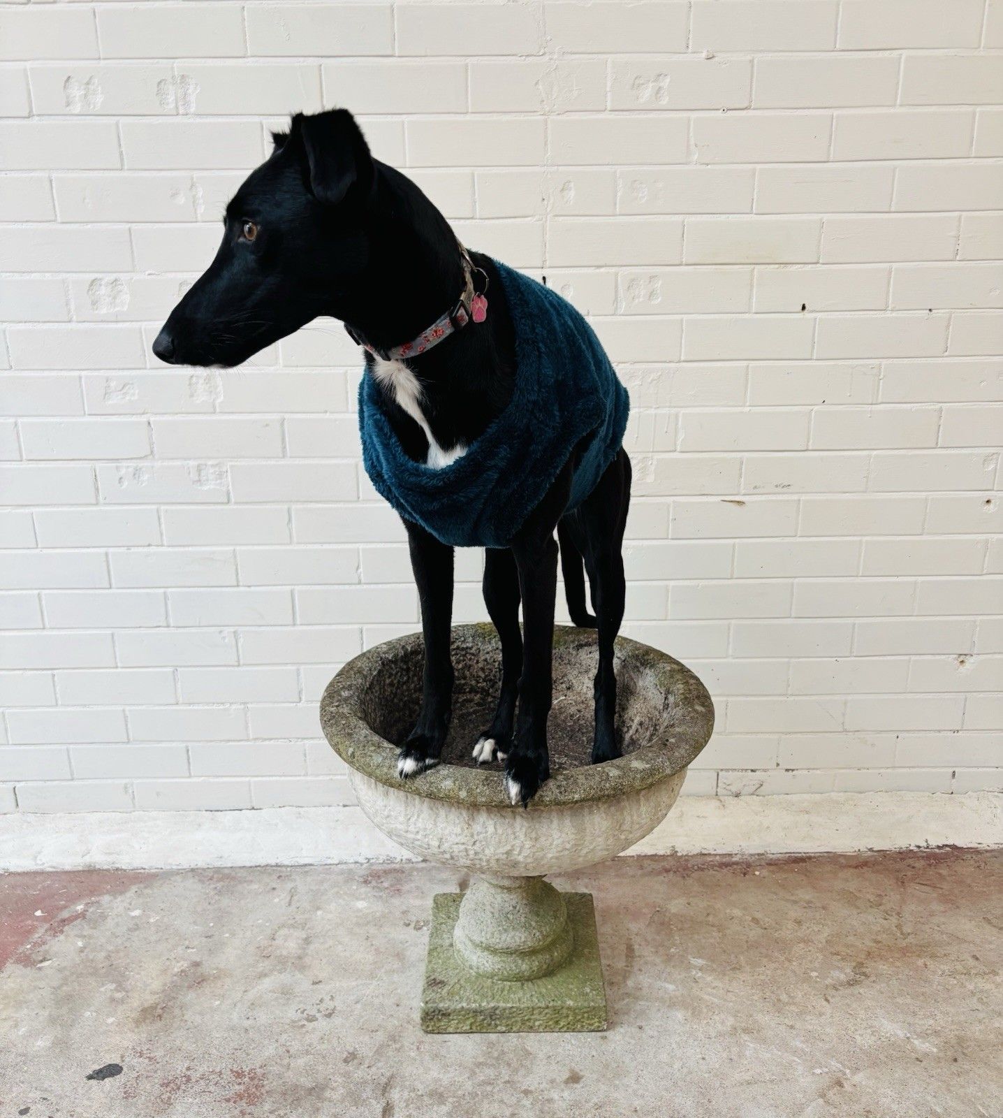 Garden Decor A Large Stylish & Attractive 20th Century Comp Stone Urn. photo