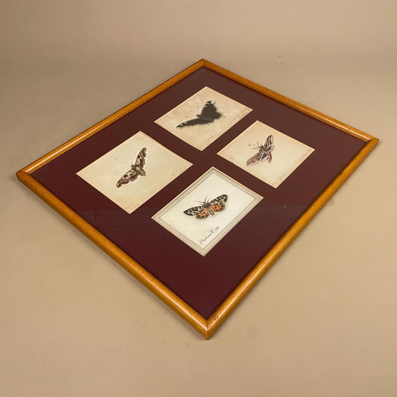 Vintage Butterfly Prints Framed Four Panel Wall Art Antiquarian Style Botanical Pictures Natural History Wood Frame photo vintage