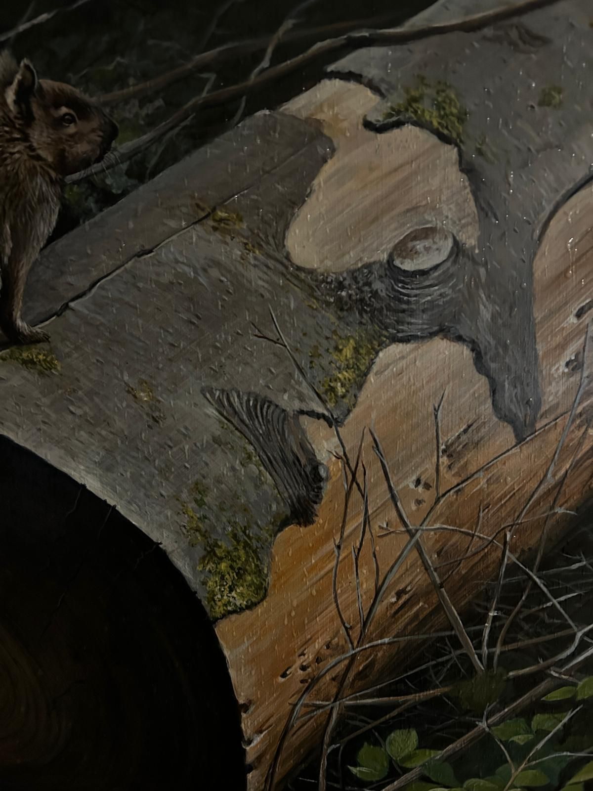 photo furniture John Wachorn Oil Painting Of A Woodland Squirrel