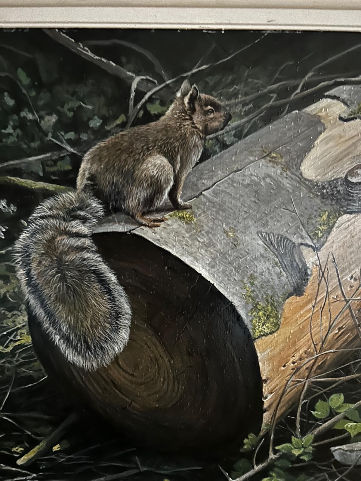 Art John Wachorn Oil Painting Of A Woodland Squirrel photo