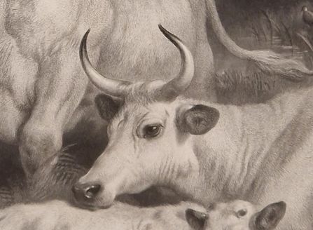 Sir Edwin Landseer Pra. Wild Cattle At Chillingham 1869 Etching Signed By Thomas Landseer photo for sale