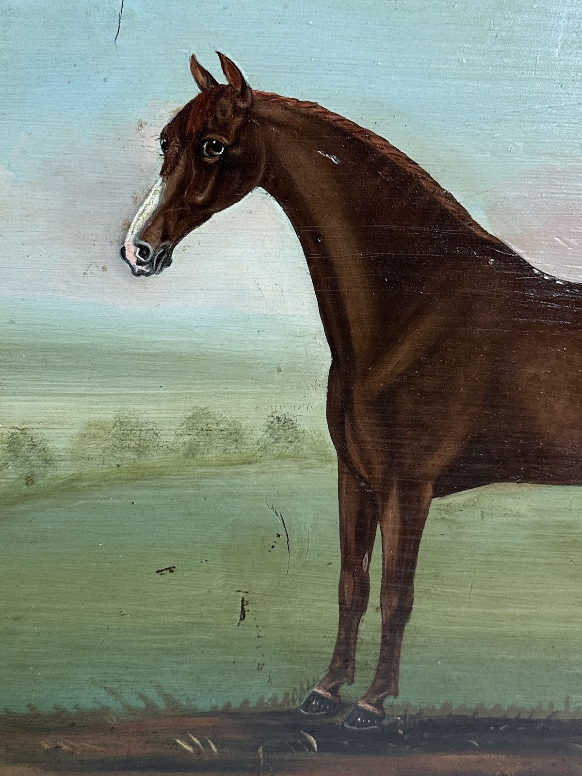 Portrait Of A Horse, 18th Century, Oil On Pine Panel, Signed photo Art