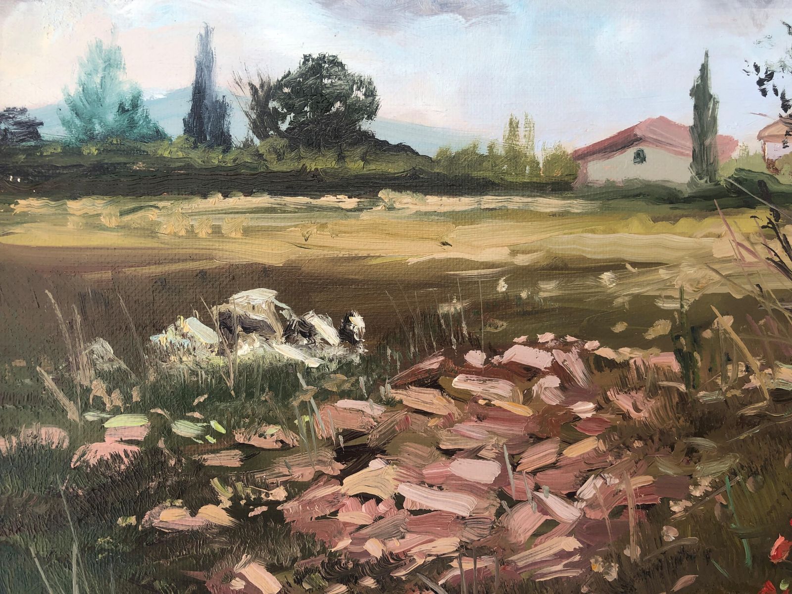 Alberto Biesok Small Mediterranean Countryside Landscape Painting With Wildflowers, Spanish Oil 2020 photo buy