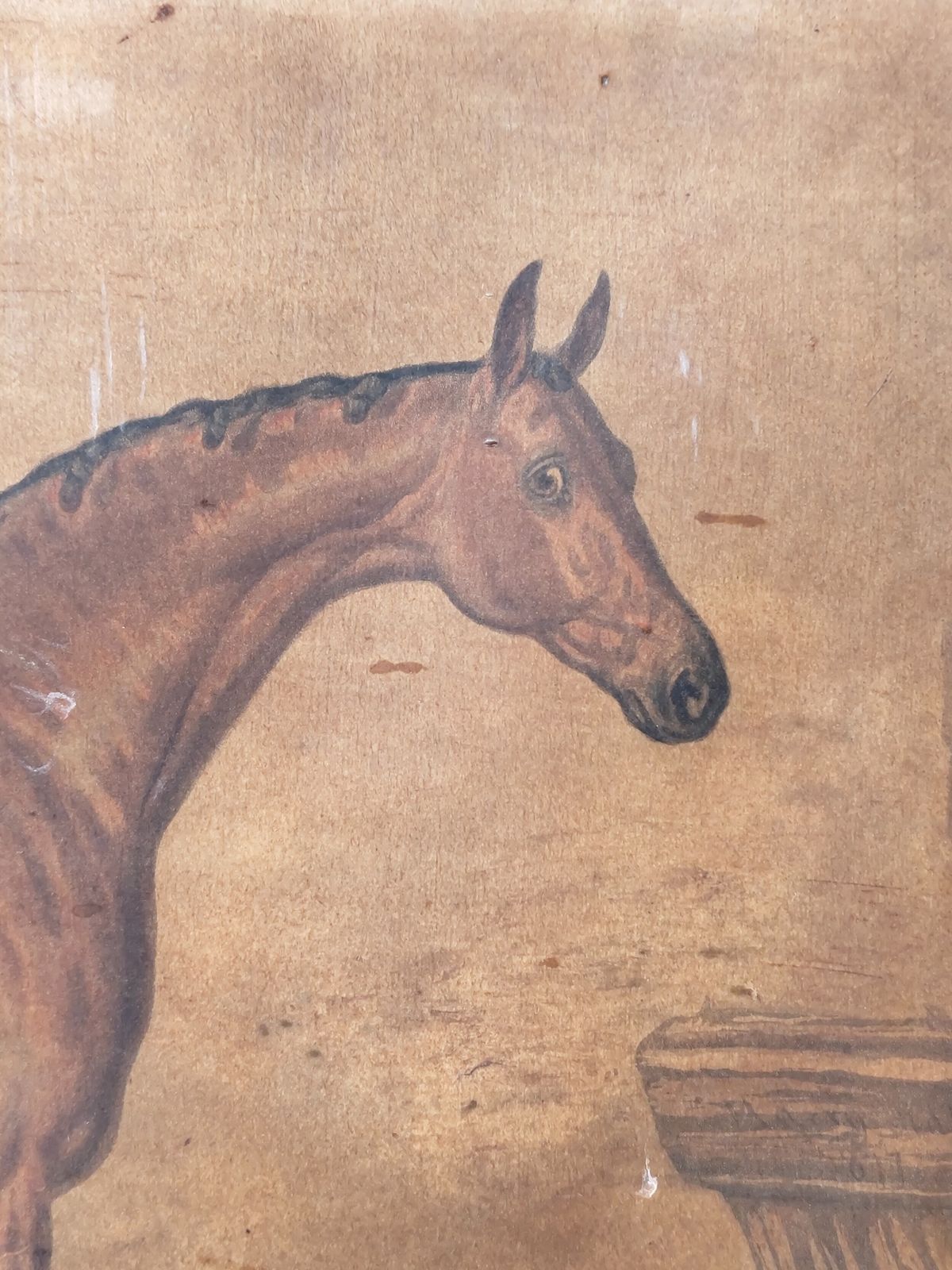 Antique Set Of Three Early Edwardian Race Horse Equestrian Lithographs After Harry Hall photo buy