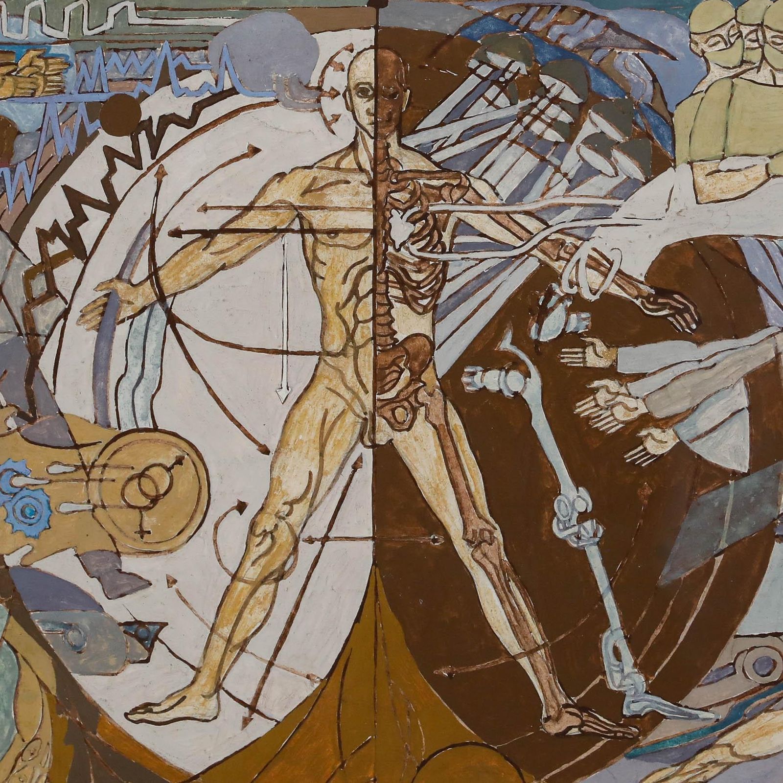 Framed 20th Century Gouache Vitruvian Man Of Medical Science photo 250.0