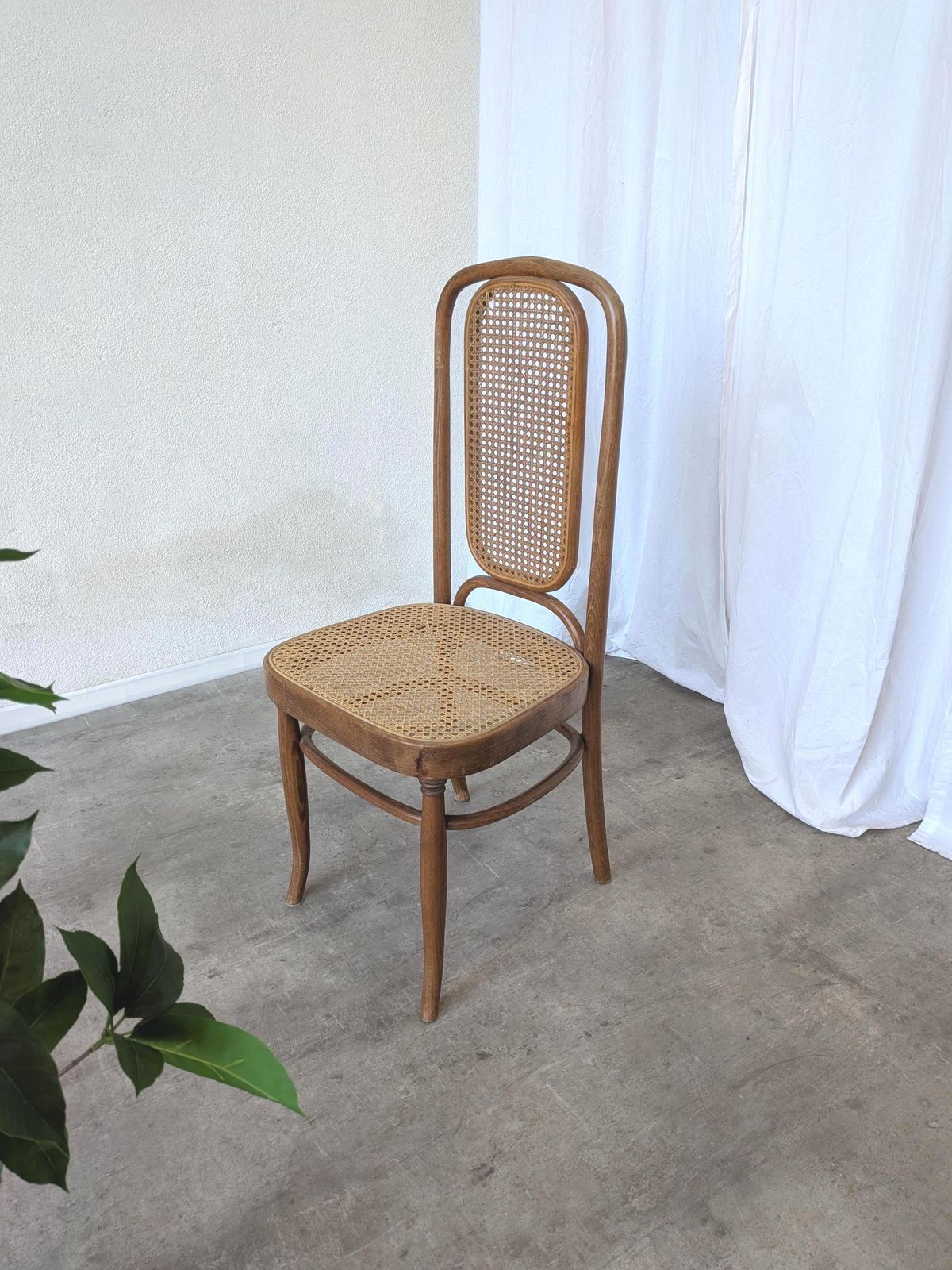 Vintage High Back Bentwood Cane Dining Chair / Thonet Style / Mundus Florijan Bobić / Torn Seat