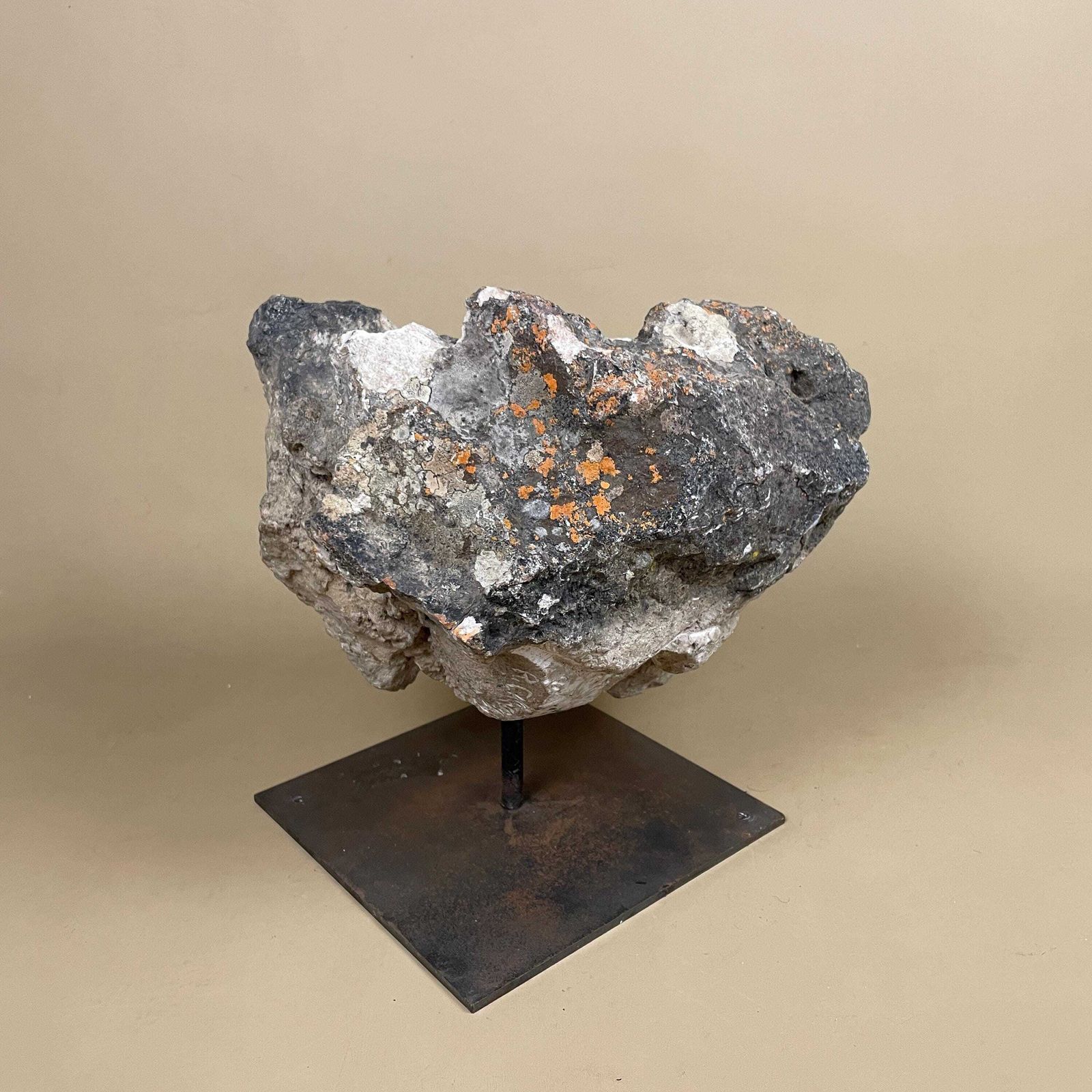 225.0 Large Natural Fossil Rock Specimen On Metal Stand Heavy Display Piece Art Museum Decor Mineral Collection Curio Display Stone photo