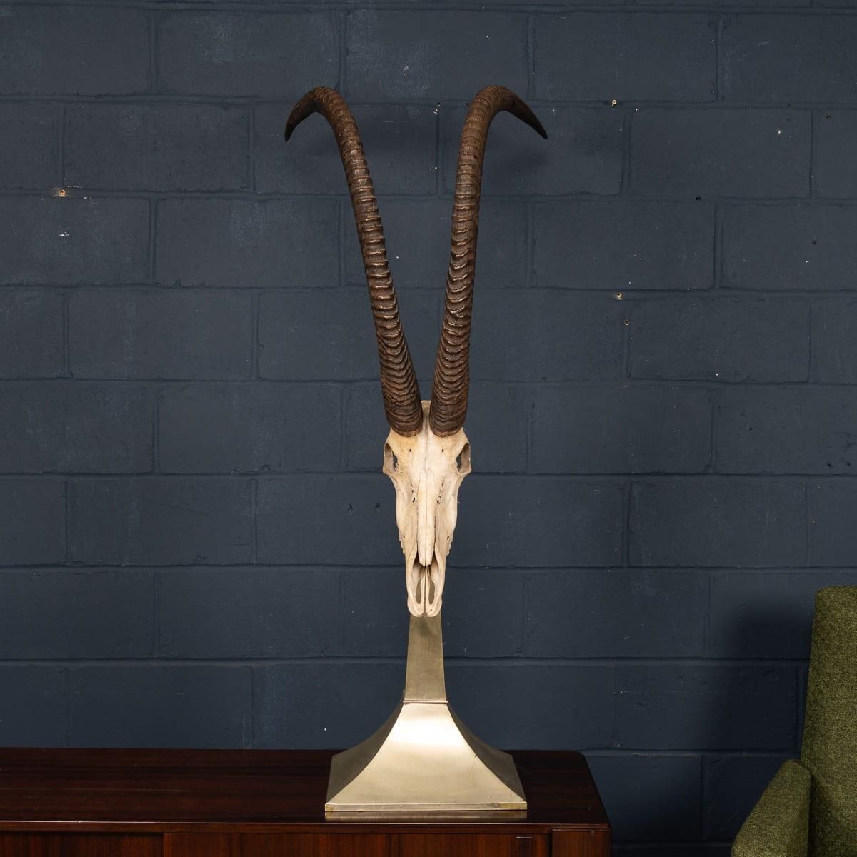 20thc Taxidermy Study Of An African Ibex, By Anthony Redmile, London C.1970 photo buy