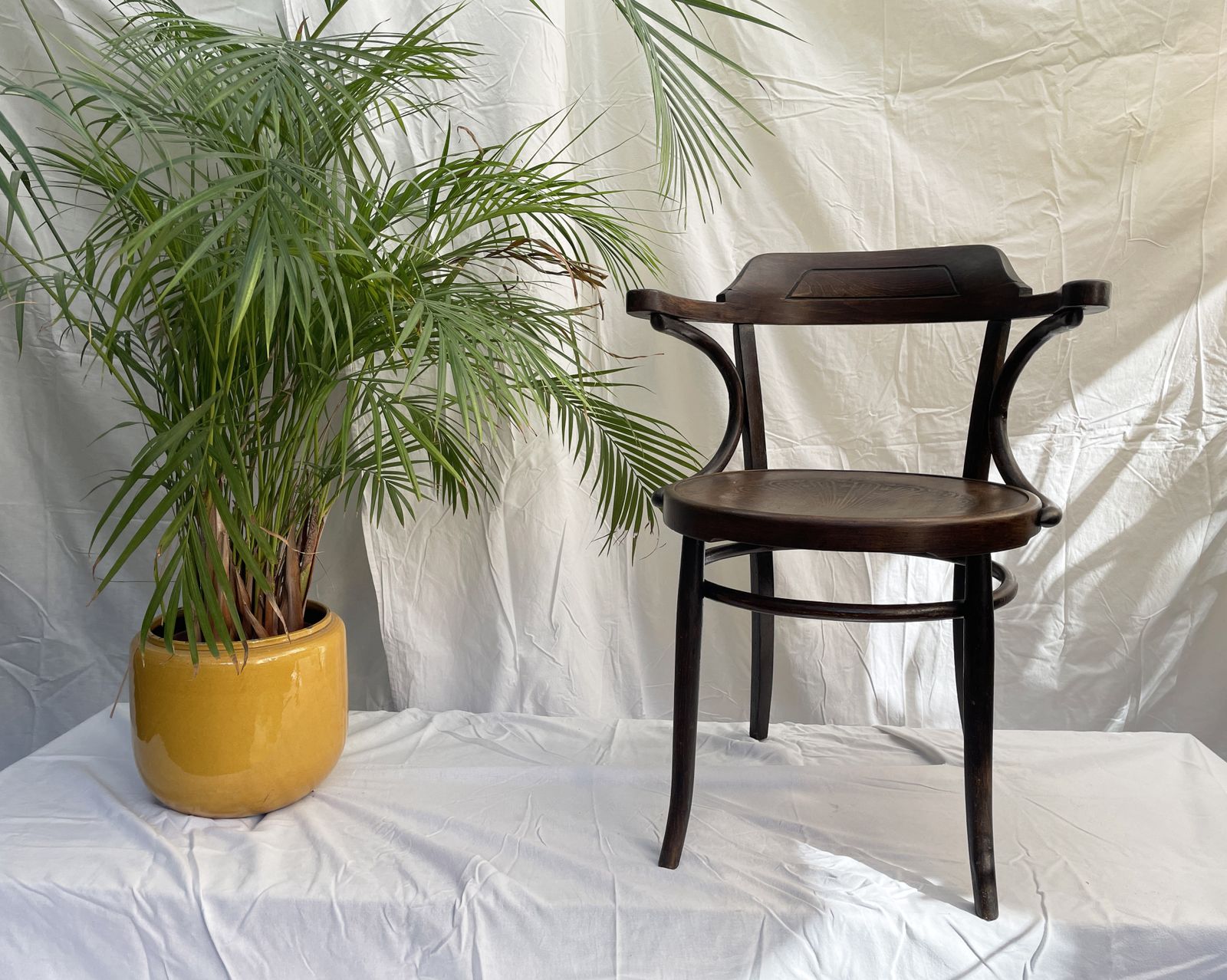 Art Nouveau Bistro Cafe Bentwood Armchair photo furniture