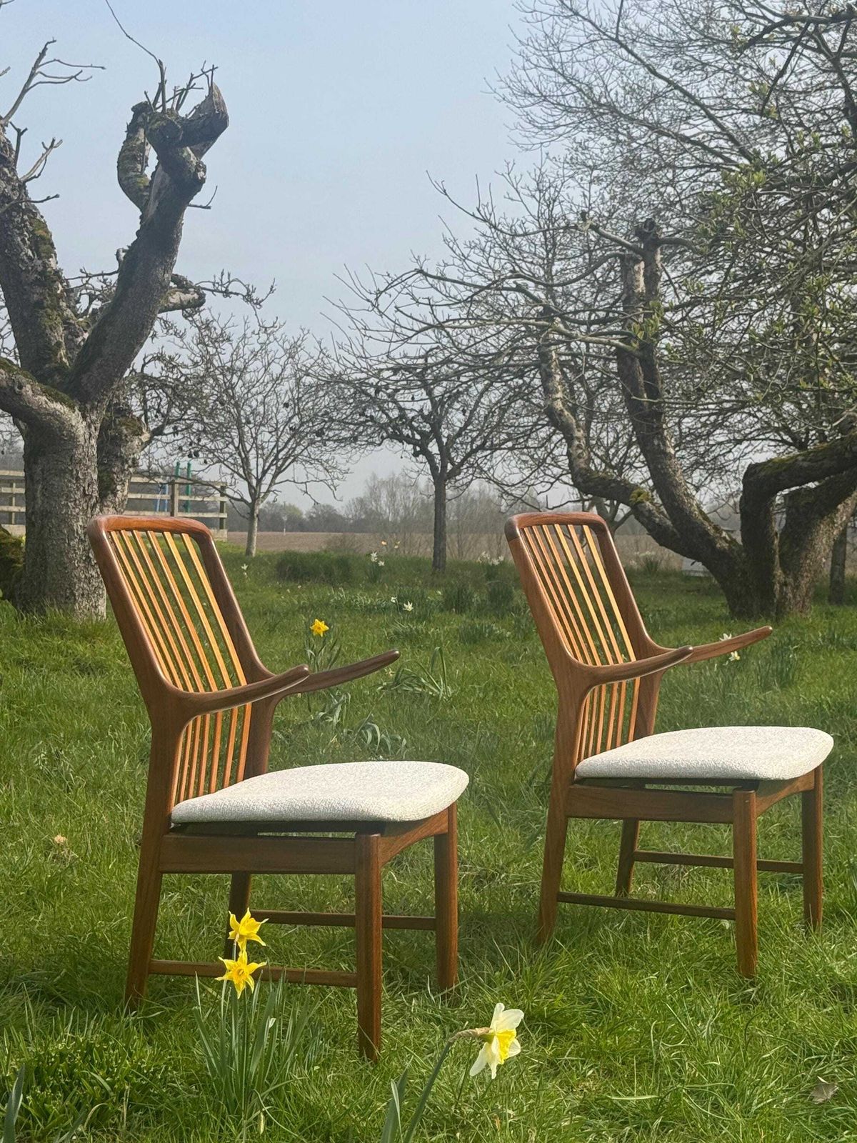 Mid Century Danish Set Of Ten Dining Chairs In Teak By Danish Teak Dining Chairs By Svend åge Madsen For Moreddi 1960 photo buy