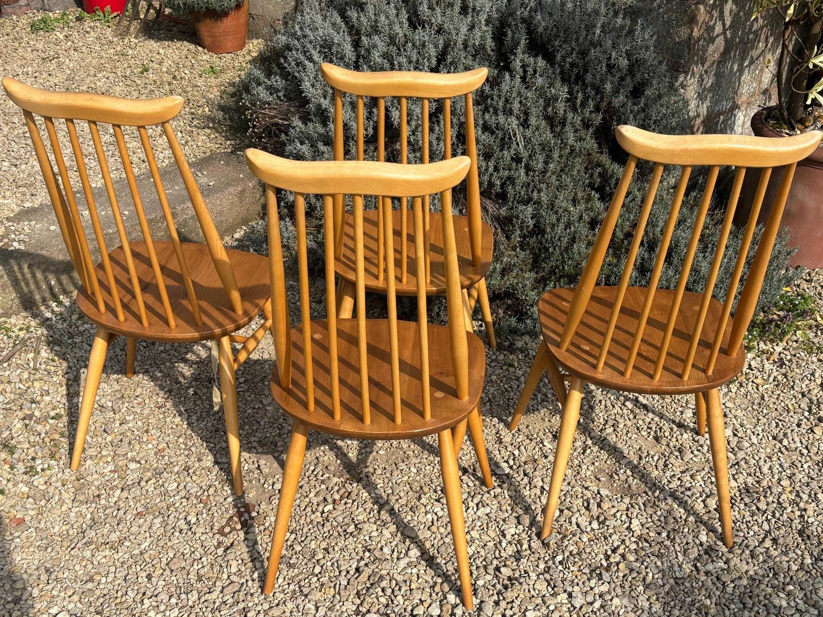 photo furniture Ercol Goldsmith Dining Chairs X 4 Blonde Gold Label