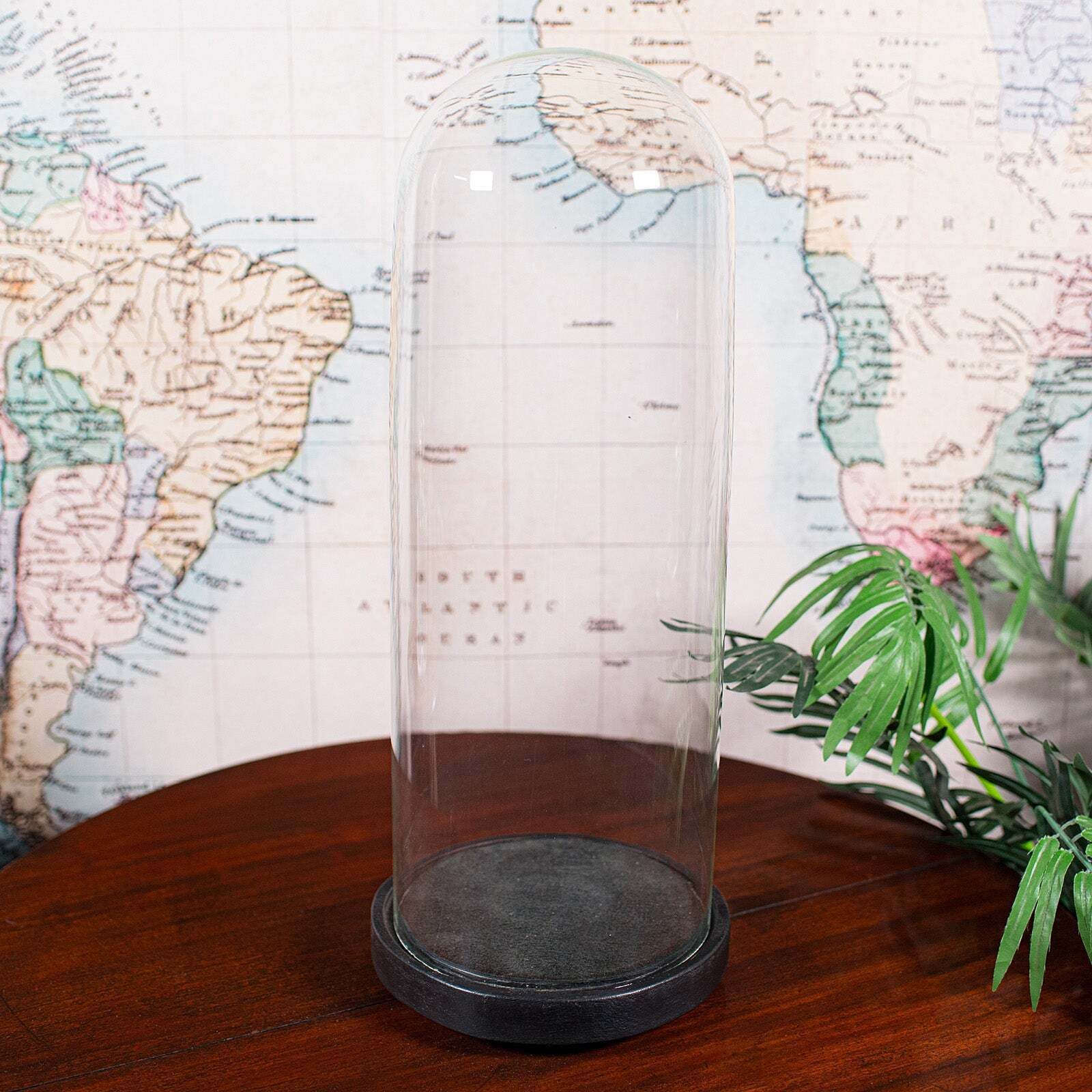 Large Antique Victorian Display Dome, English, Glass, Taxidermy Showcase, C.1880 photo Home Decor