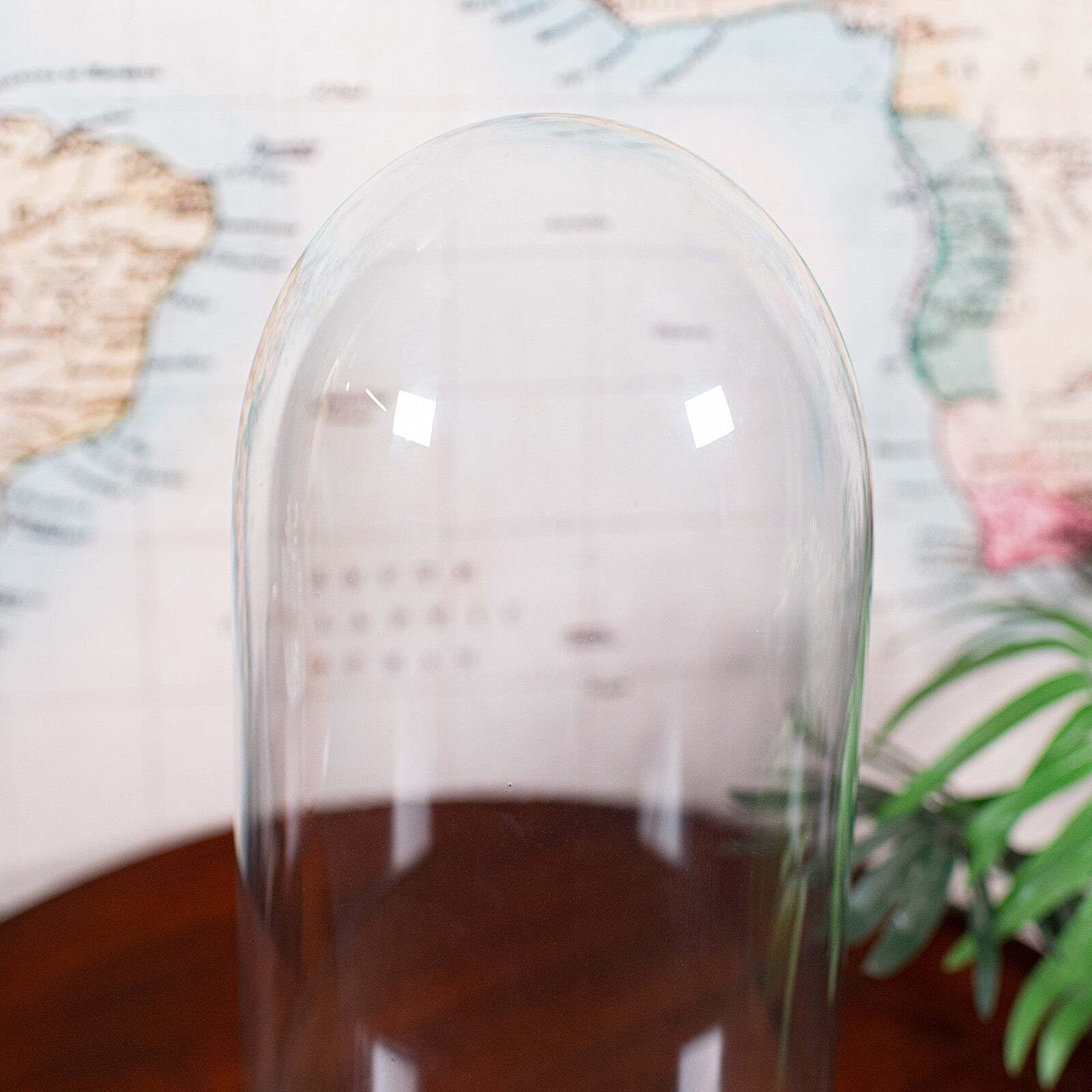 Tall Antique Victorian Taxidermy Dome, English, Glass Collector's Showcase, 1900 photo vinterior