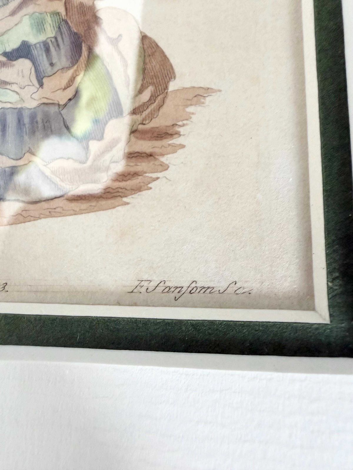 Original Botanical Hand Finished Engraving From Curtis Botanical Magazine 1813, Antique Botanical Engraving photo vintage