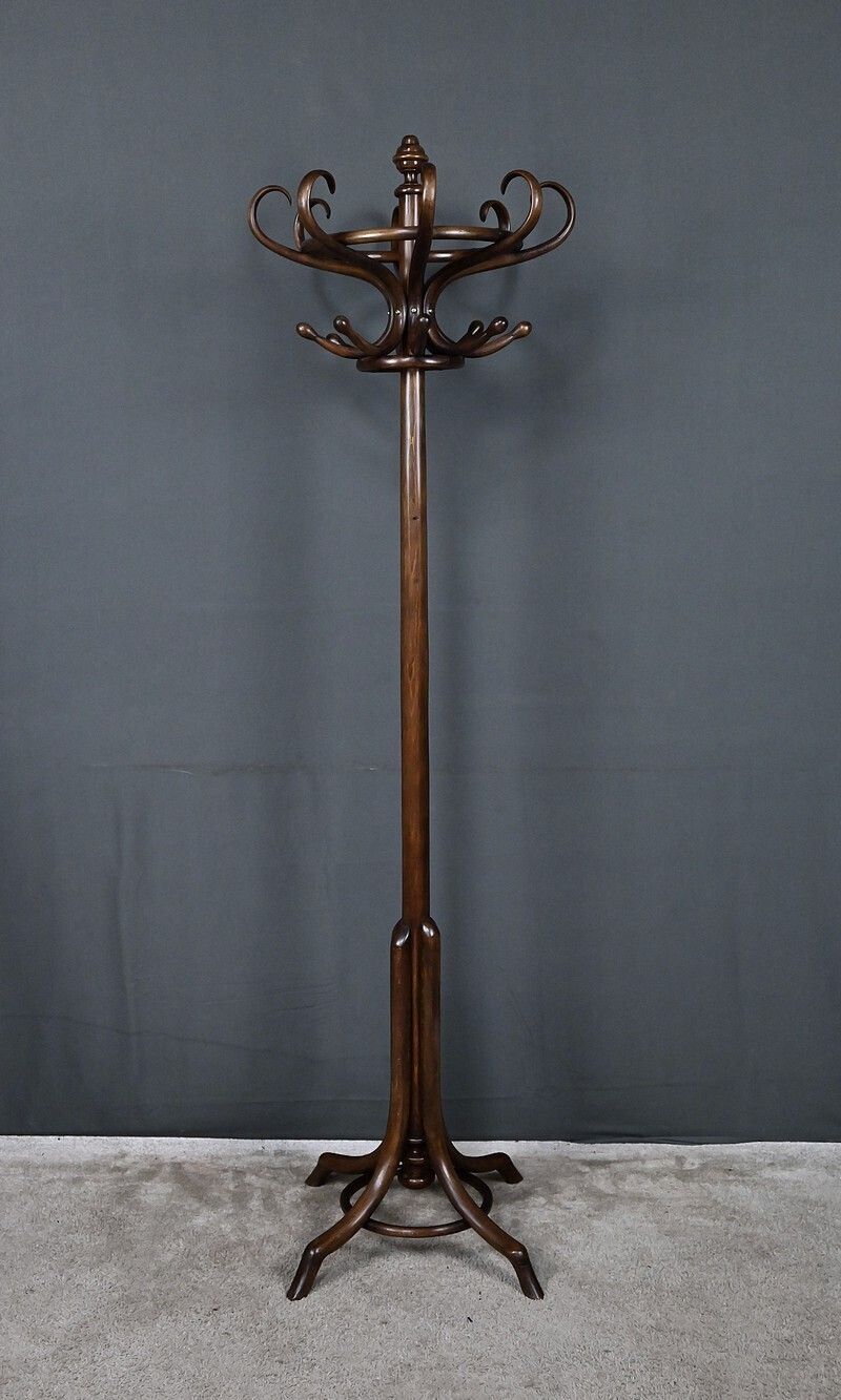 Parrot Coat Rack In Beechwood – Early 20th Century photo for sale