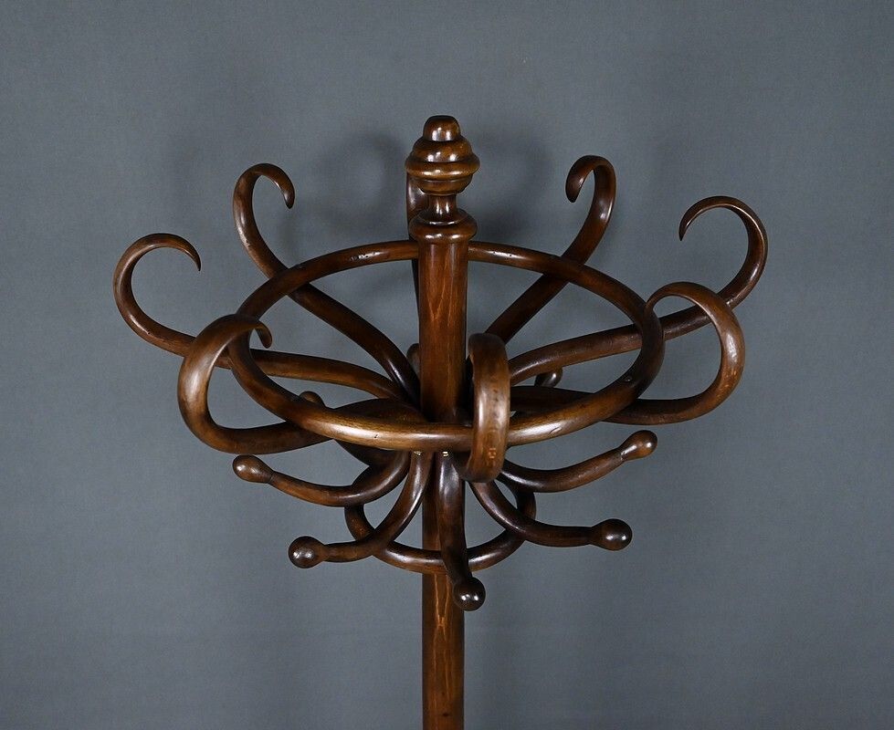 Parrot Coat Rack In Beechwood – Early 20th Century photo Furniture