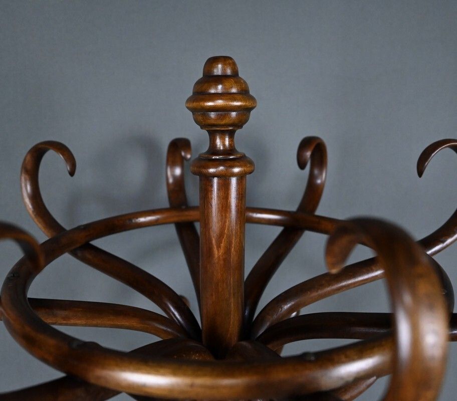 Parrot Coat Rack In Beechwood – Early 20th Century photo 1110.0