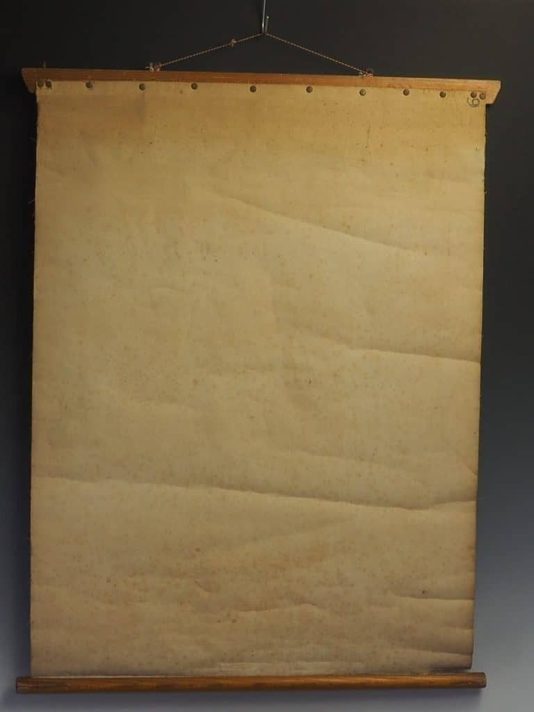 Antique Anatomical Chart (VI.) Human Anatomy Head Signed By E. Hoelemann photo furniture