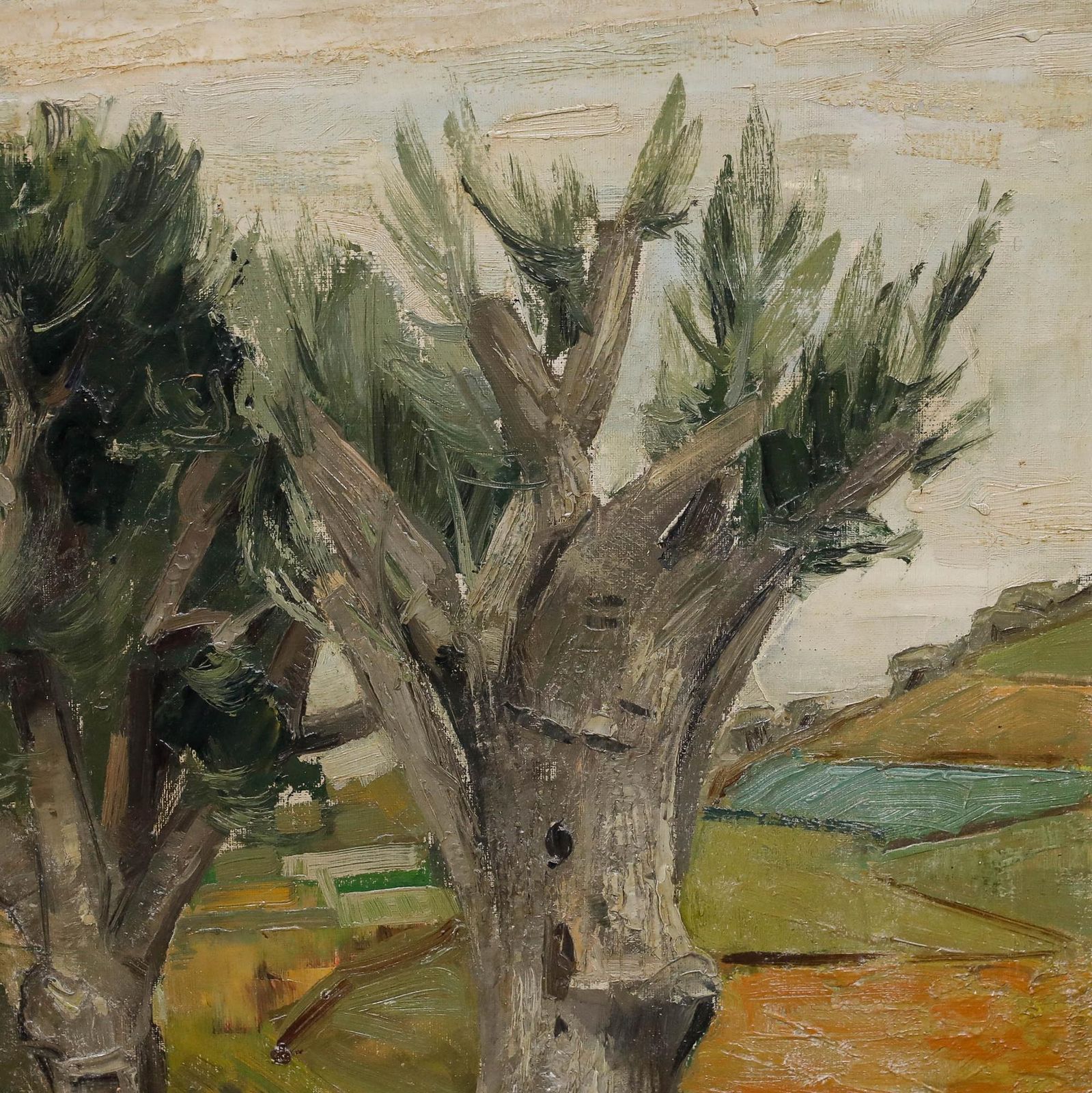Léo Van Droogenbroek (1905 1995) 1946 Oil, Road And Olive Trees photo Art
