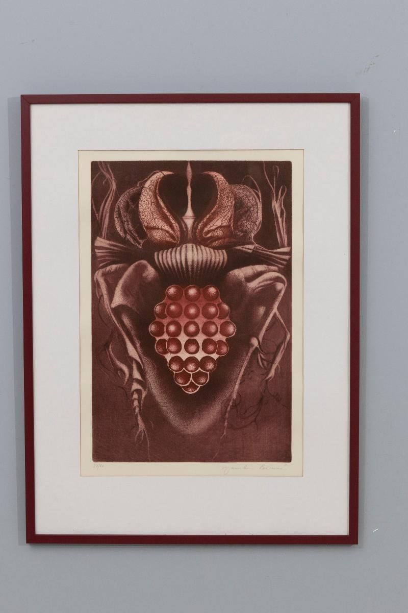 Limited Edition Print “Vinný Brouk”, Jaroslava Pešicová, 1982, Czechoslovakia photo for sale