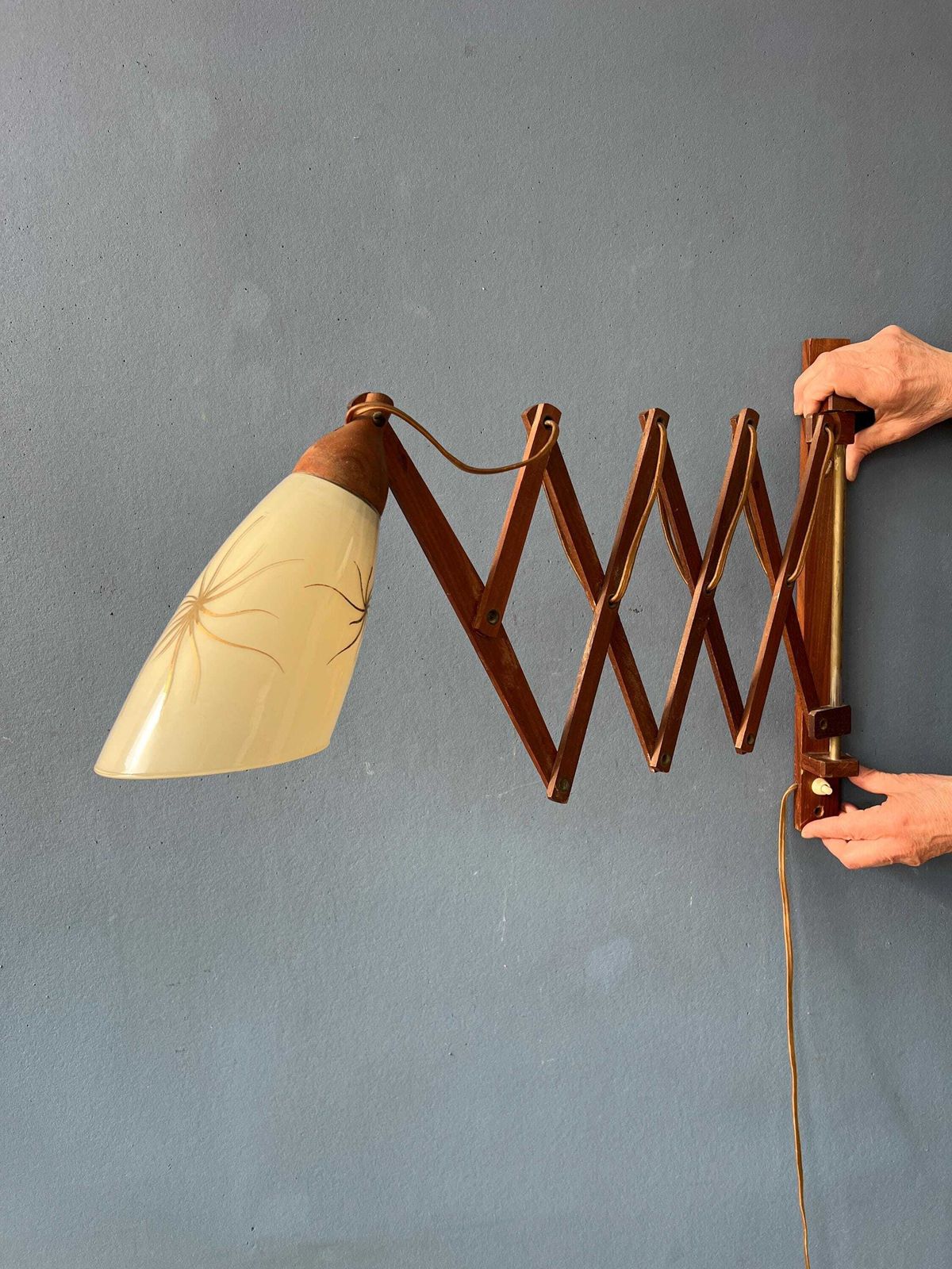 Mid Century Teakhouten Deense Wandlamp Met Glazen Kap photo vinterior