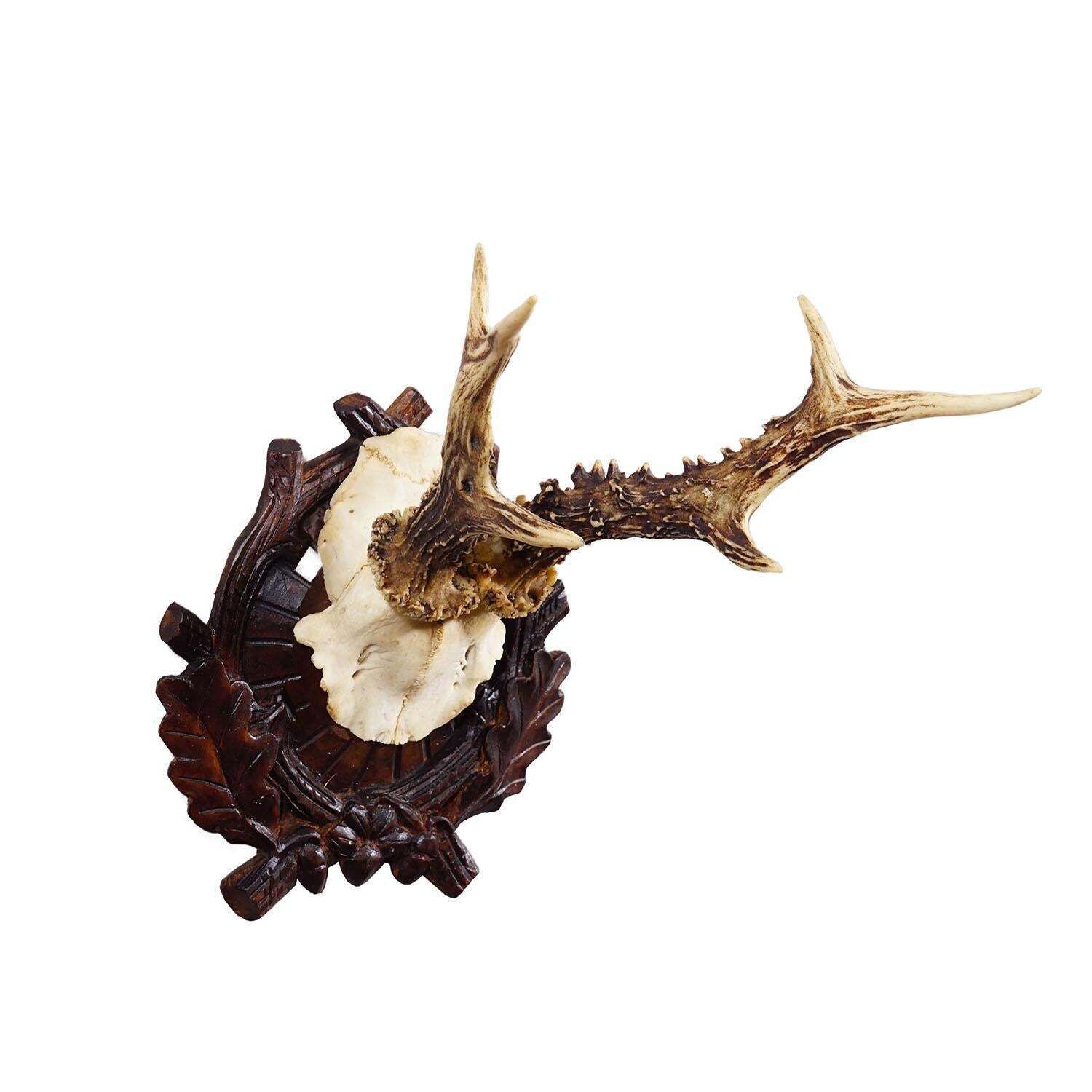 Antique Black Forest Red Deer Trophy On Carved Plaque   Germany Ca. 1910 photo furniture
