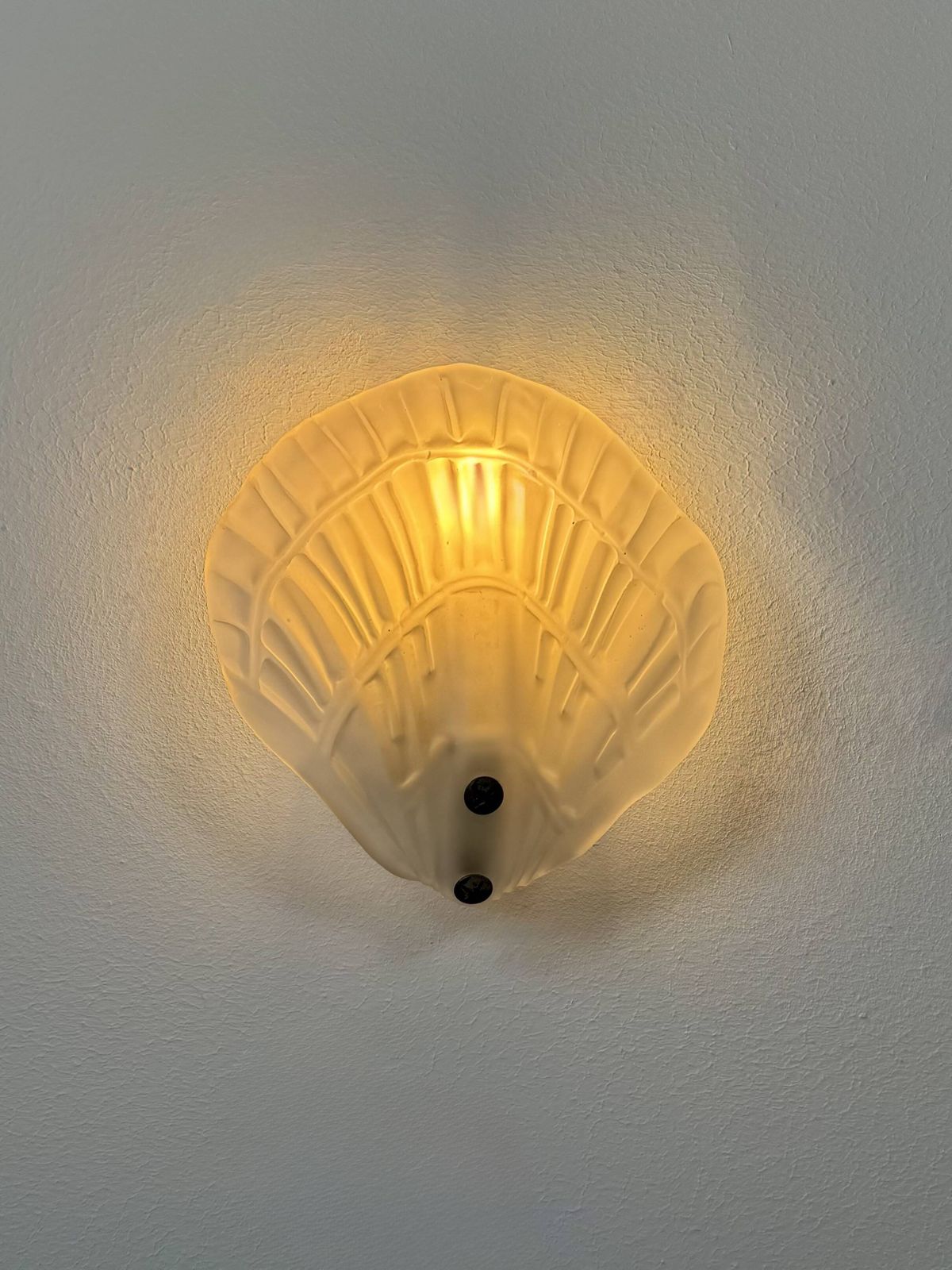 Pair Of Seashell Wall Sconces In Sandblasted Glass, France, 1970 photo furniture