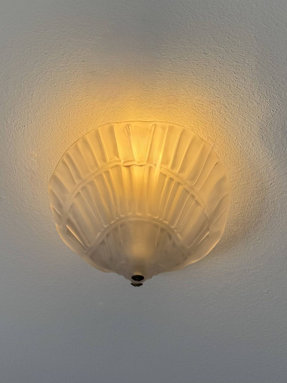 Pair Of Seashell Wall Sconces In Sandblasted Glass, France, 1970 photo 564.0