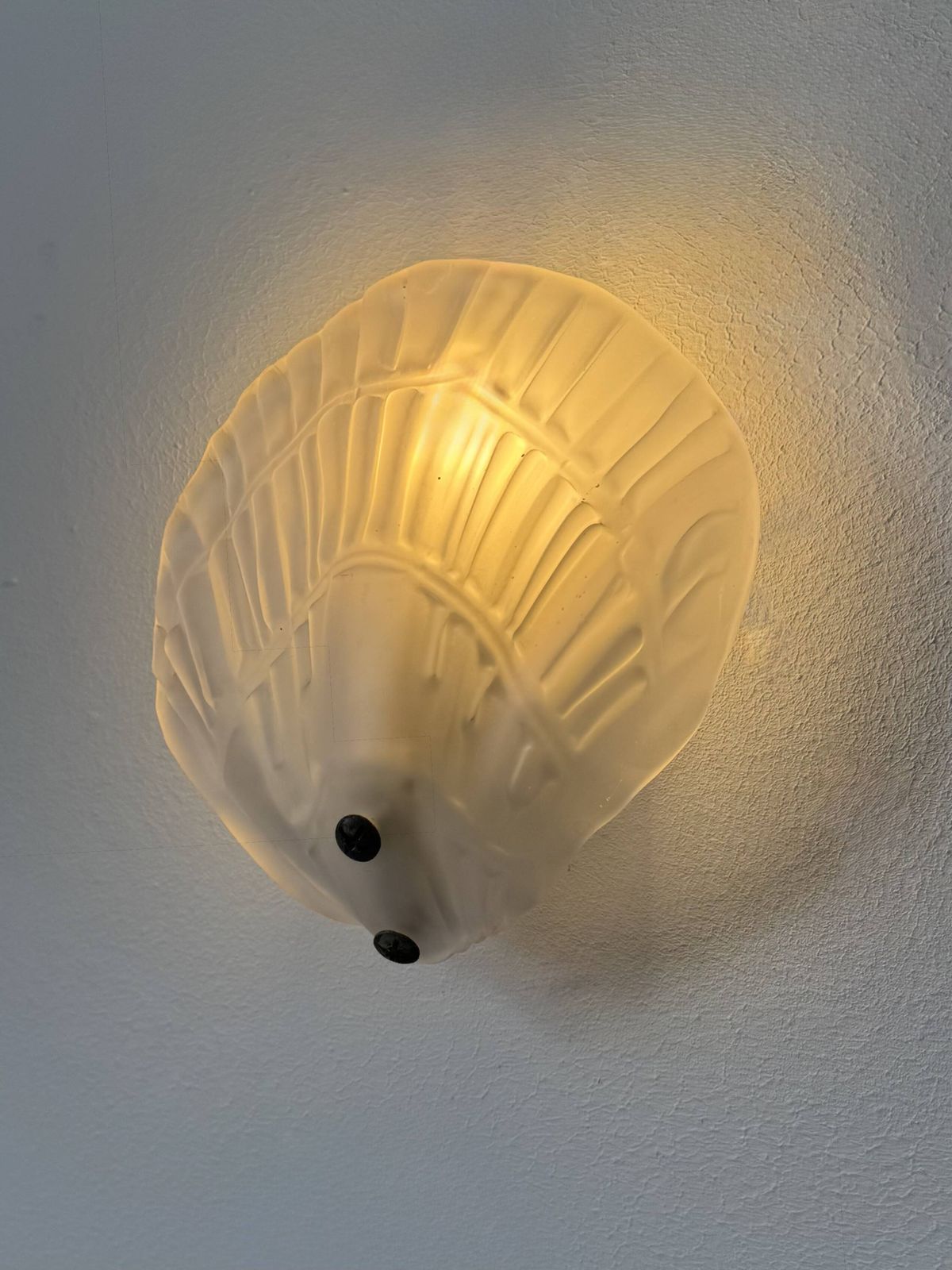 Pair Of Seashell Wall Sconces In Sandblasted Glass, France, 1970 photo vintage
