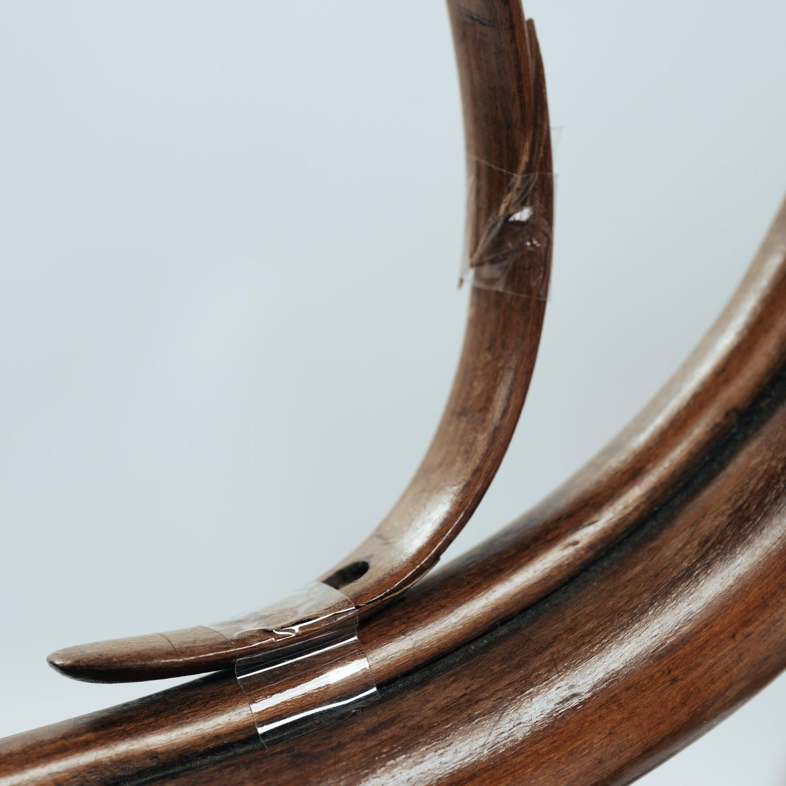 Thonet Occasional Center Table Model No. 3, Bentwood With Flamed Palisander, 1890 photo vintage