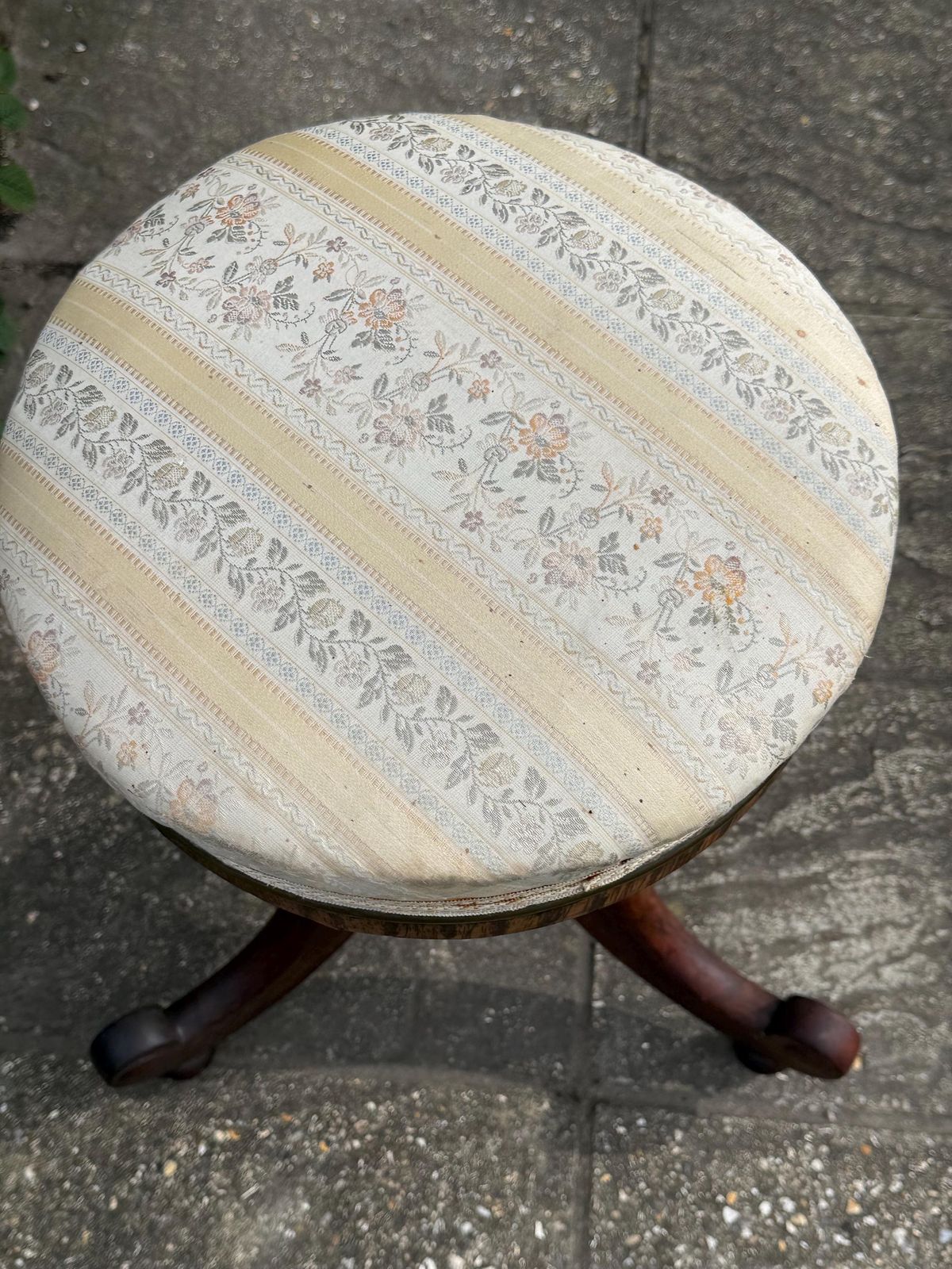245.0 Antique Victorian Piano Stool Carved Walnut Adjustable Seat Yellwo Striped Floral Upholstery photo