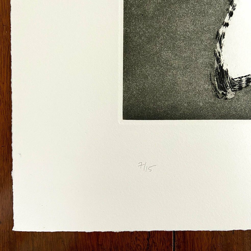 Signed Limited Edition Print, Strain, 1997 By Kitty Blandy photo Art