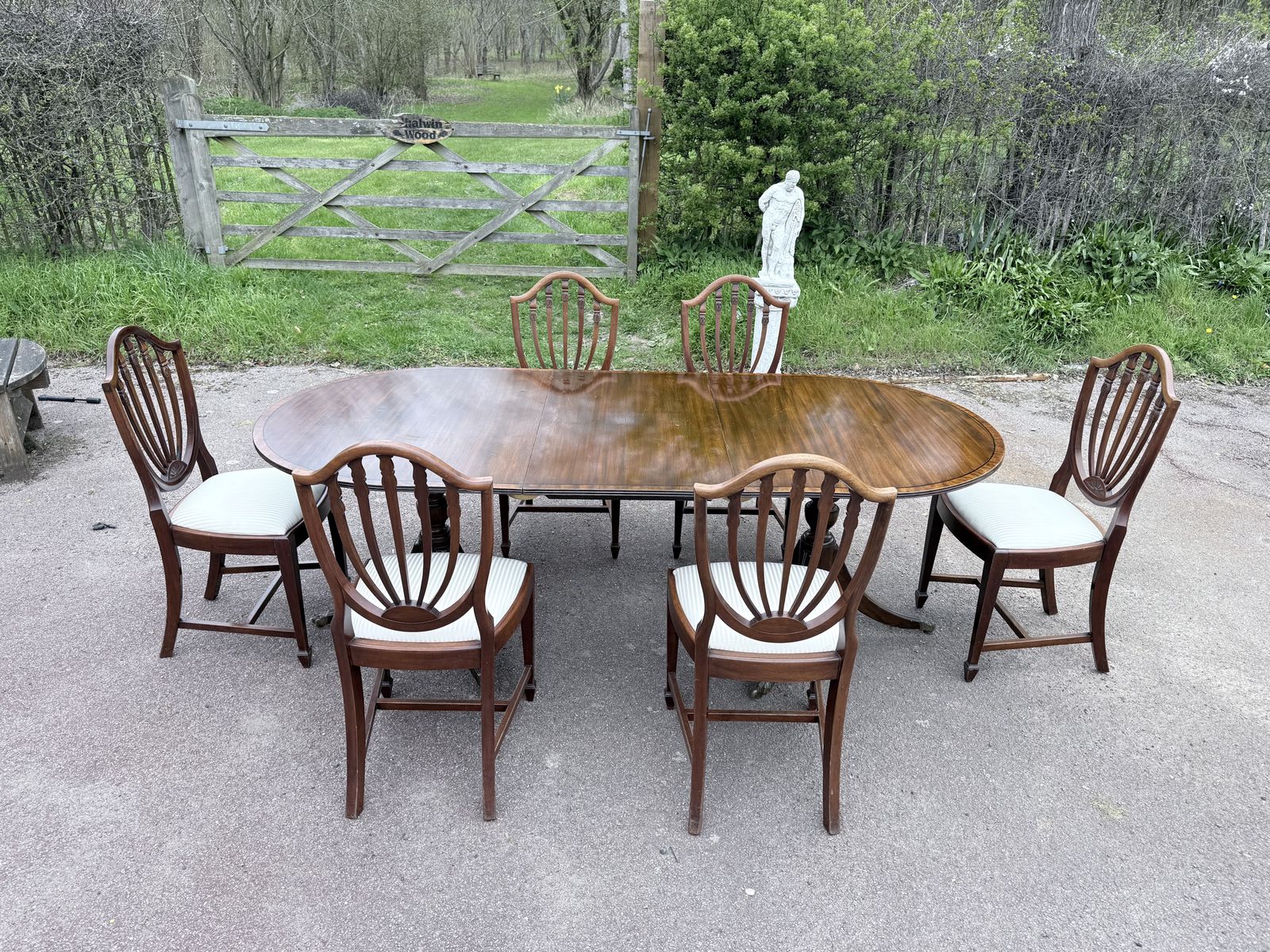 Edwardian (1900–1915) Mahogany Twin Pedestal Extending Dining Table & 6 Shield Back Chairs photo furniture