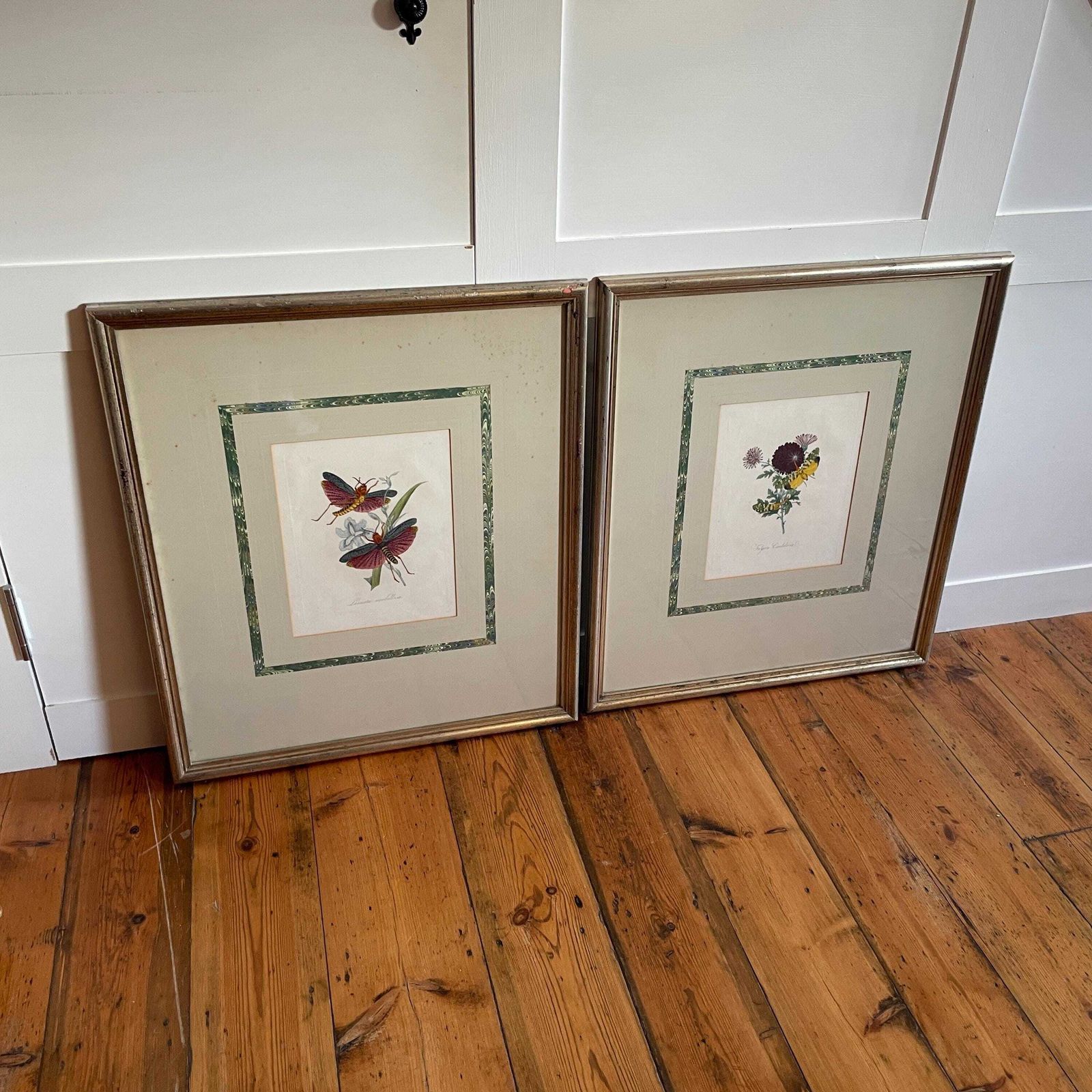 Framed Insect Wall Art Pair Hand Painted Botanical Moth Butterfly Pictures Large Wall Hanging Wooden Frame photo furniture