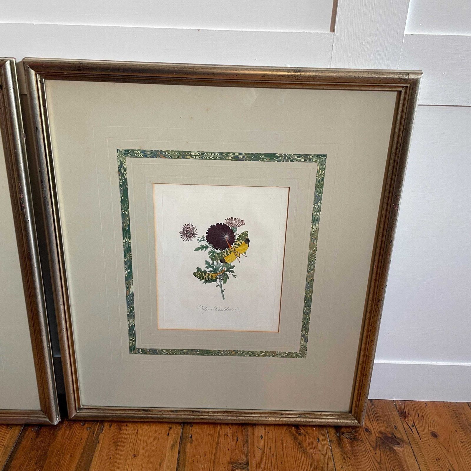 photo furniture Framed Insect Wall Art Pair Hand Painted Botanical Moth Butterfly Pictures Large Wall Hanging Wooden Frame