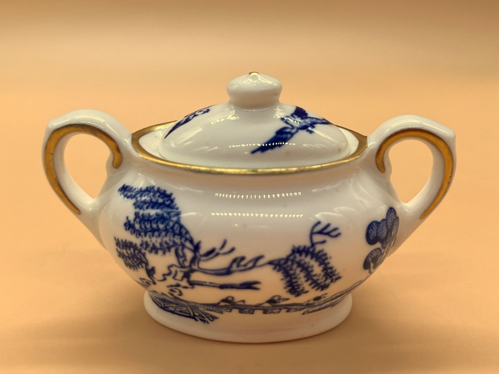 Coalport China Blue Willow Miniature Display Tea Set. Teapot, Creamer, Sugar, Tea Cup, Saucer & Side Plate Trio. photo Home Decor