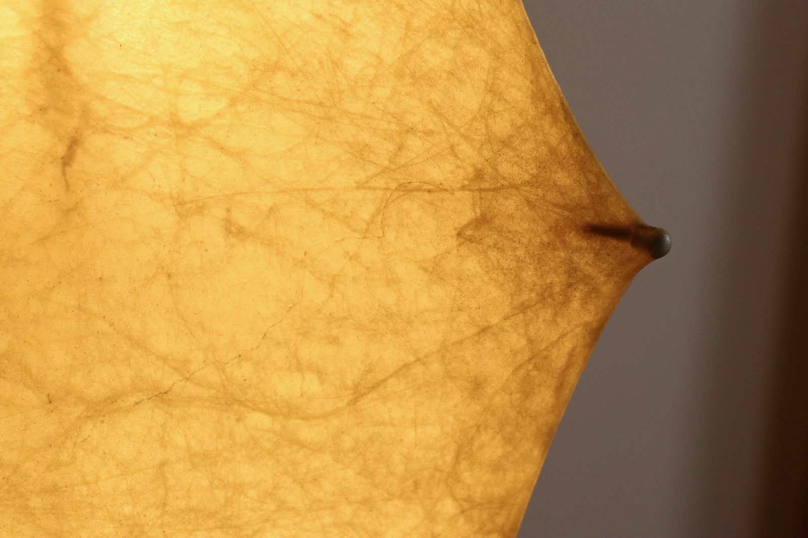 Fantasma Floor Lamp By Tobia Scarpa For Flos, Italy, 1960s photo 5200.0